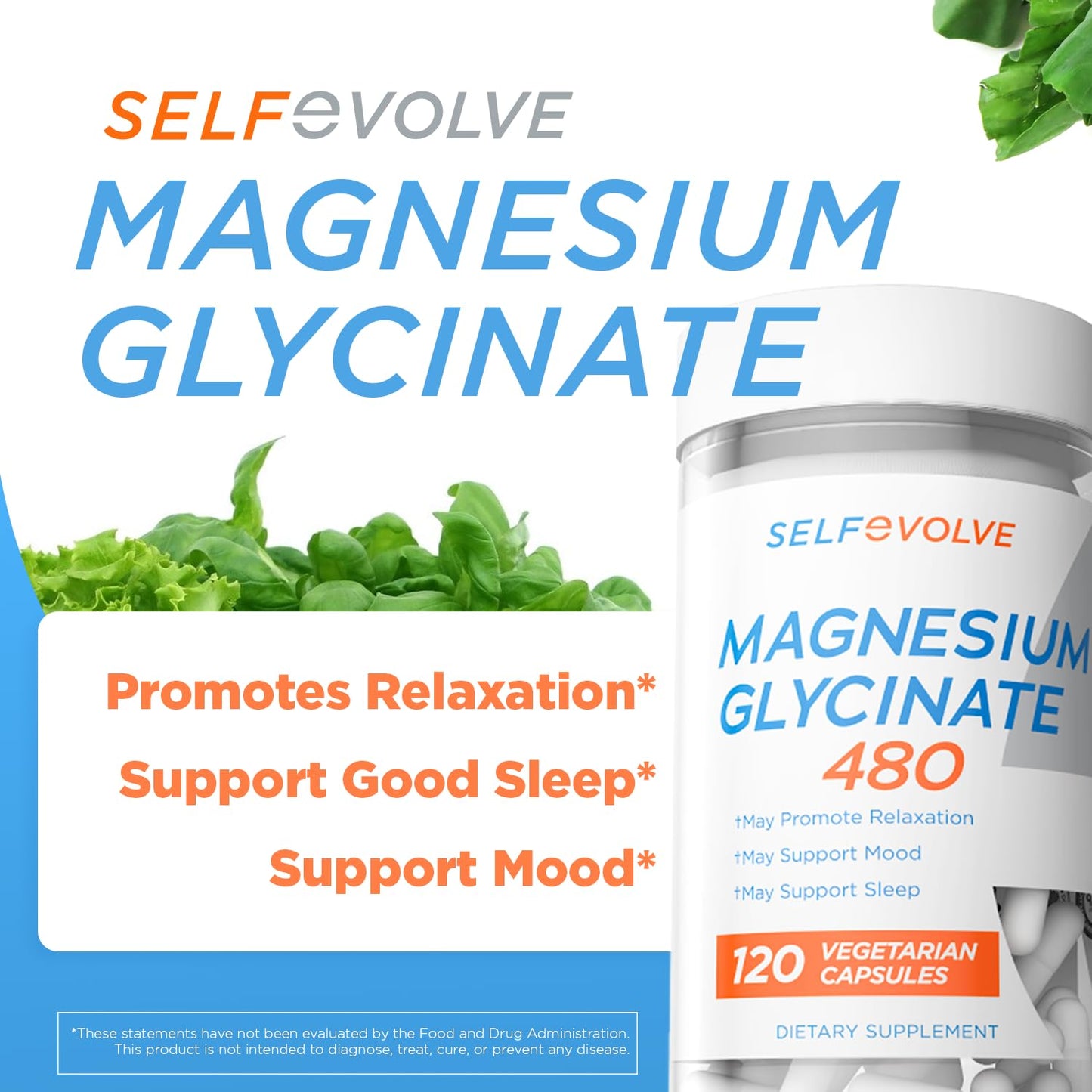Selfevolve Magnesium Glycinate 480mg Capsule, 1 Count