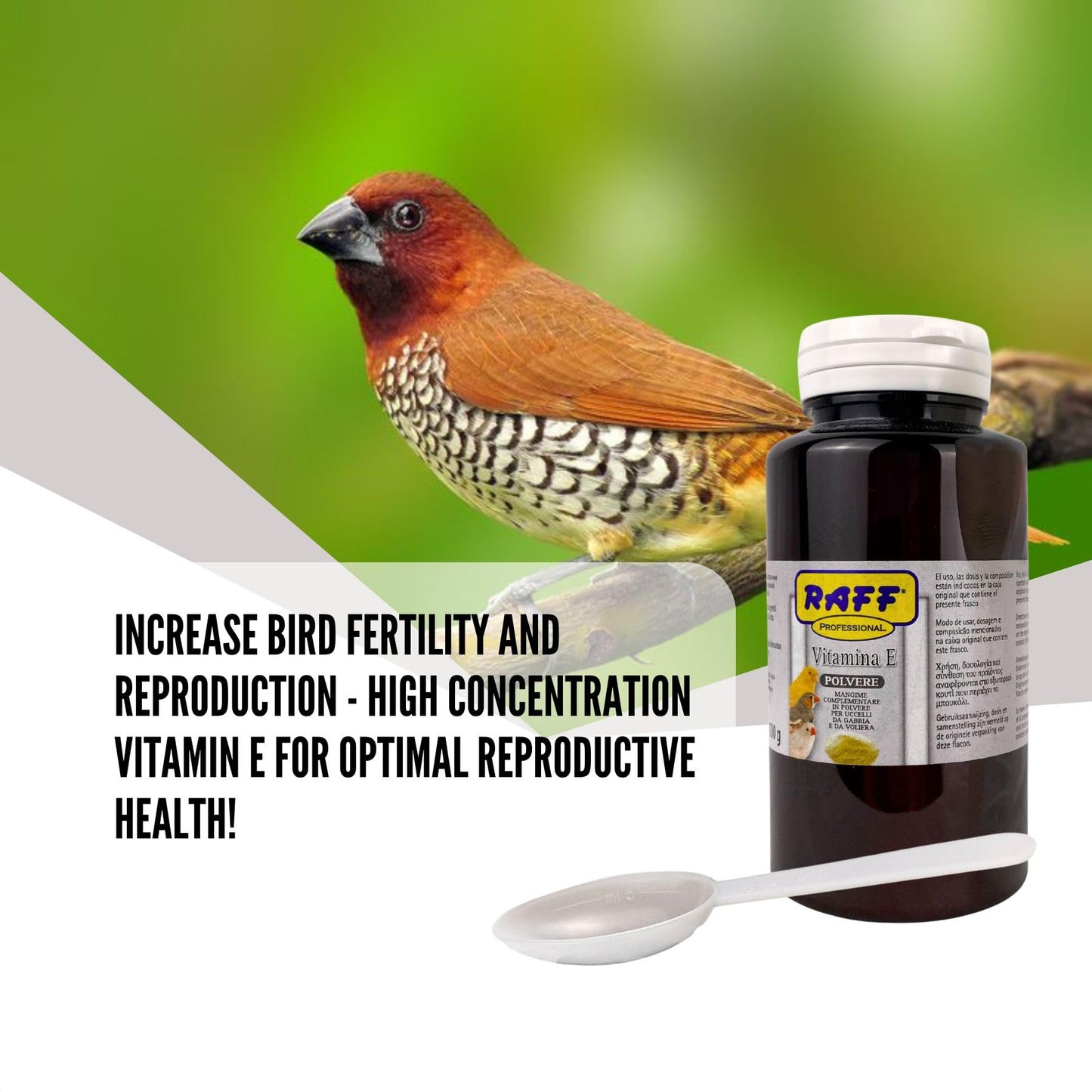 GLOBAL LUXURY MANAGEMENT Raff Vitamin E Powder for Birds, 3.52 oz
