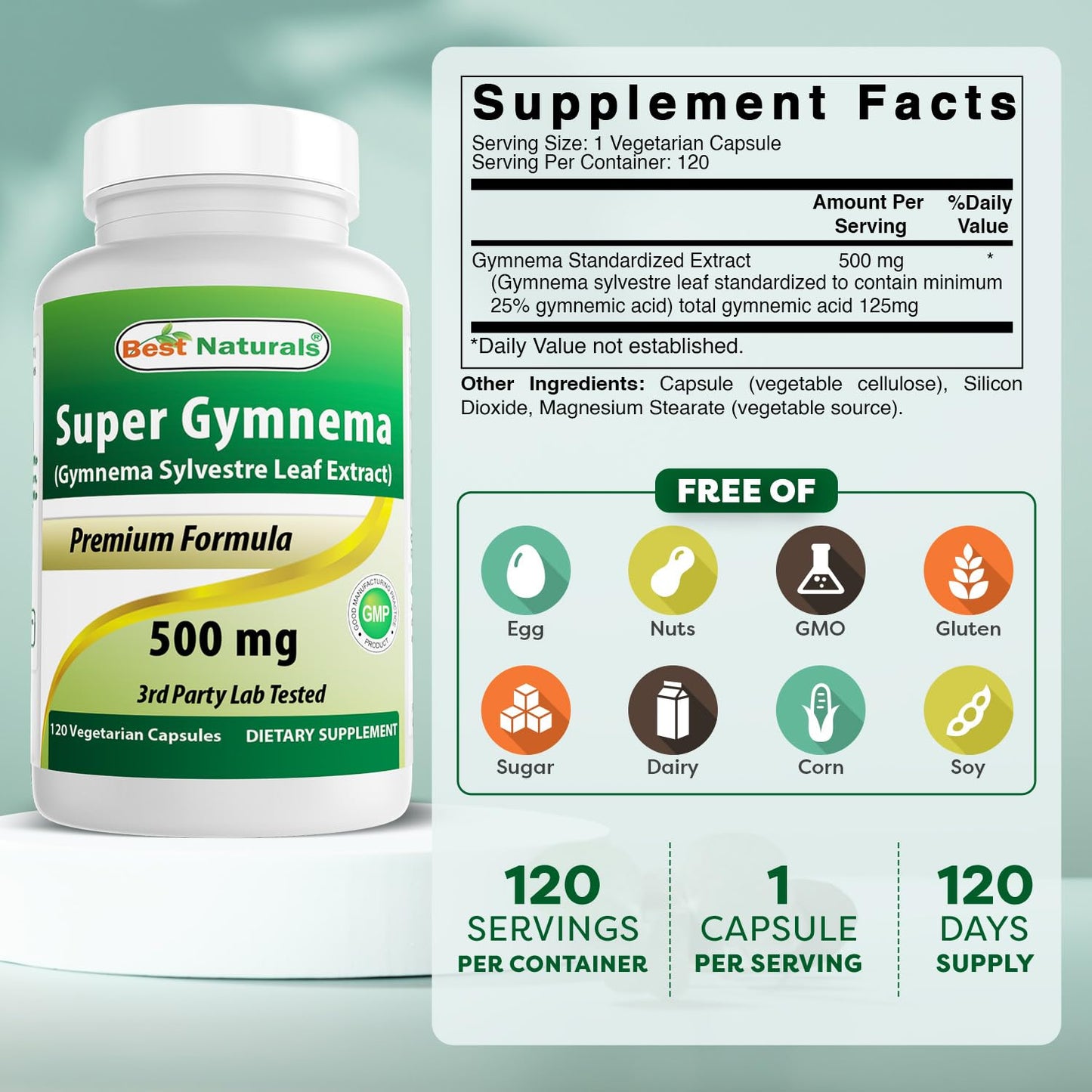 Best Naturals Gymnema Sylvestre Extract 500 mg Capsule, 240 Capsules