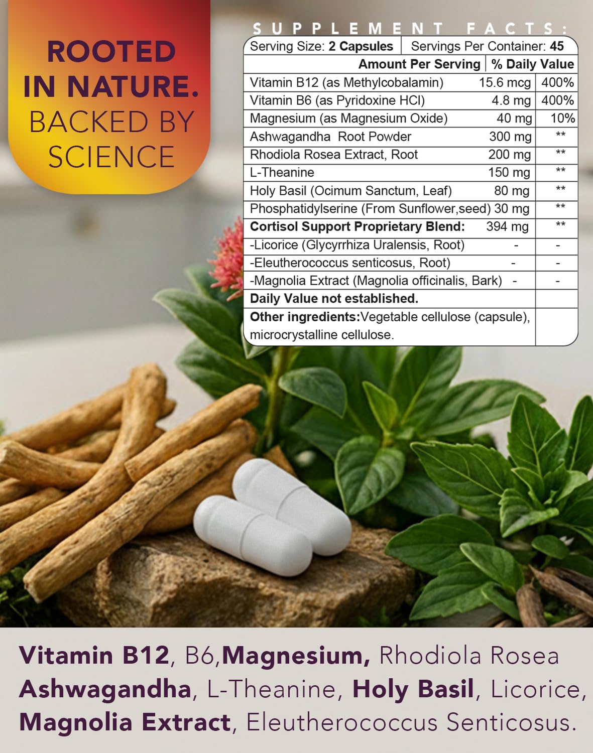 ONE 365 Cortisol Manager Capsule, 90 Count
