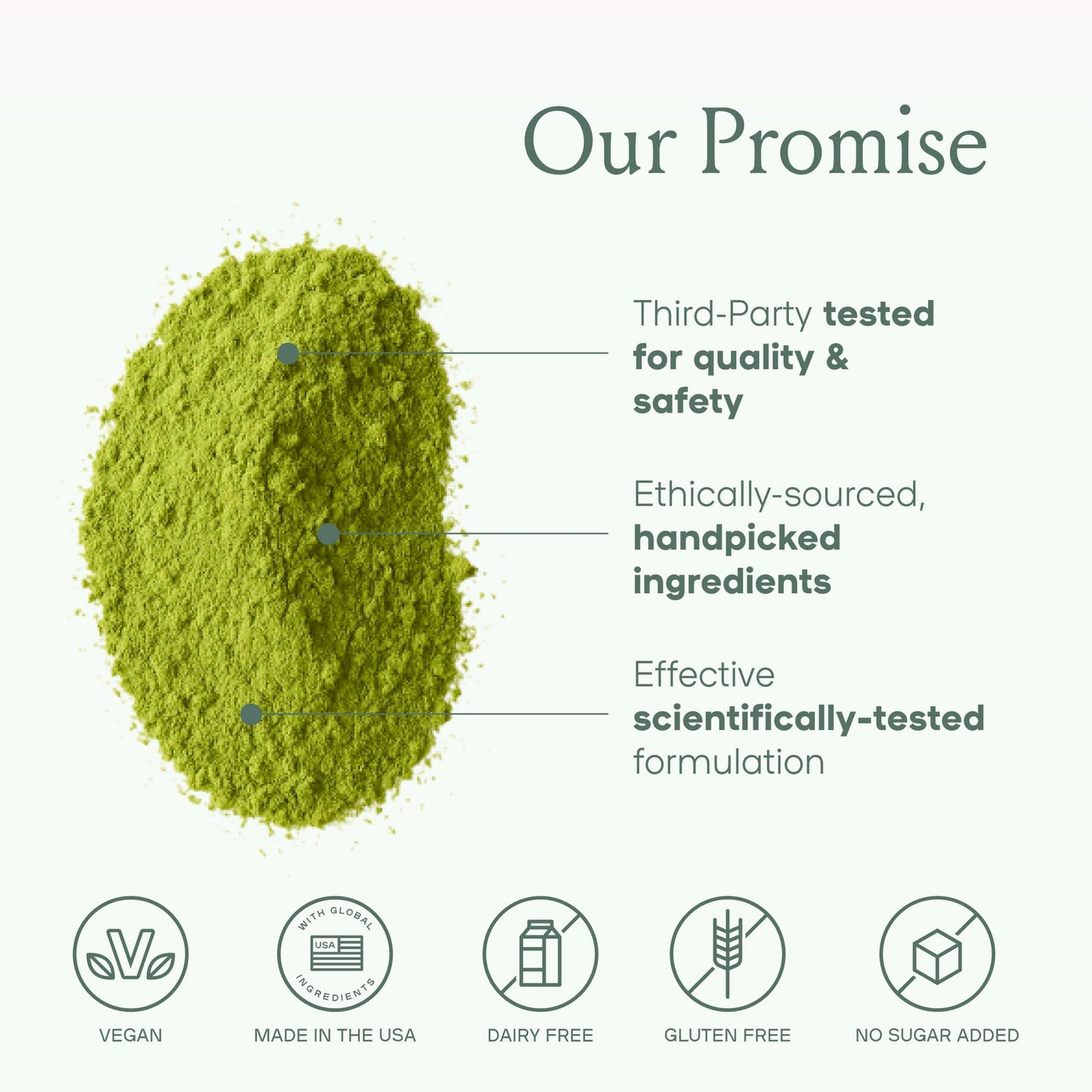 SPACE AND TIME Create Mushroom Matcha Tea Powder 5.25 Ounce