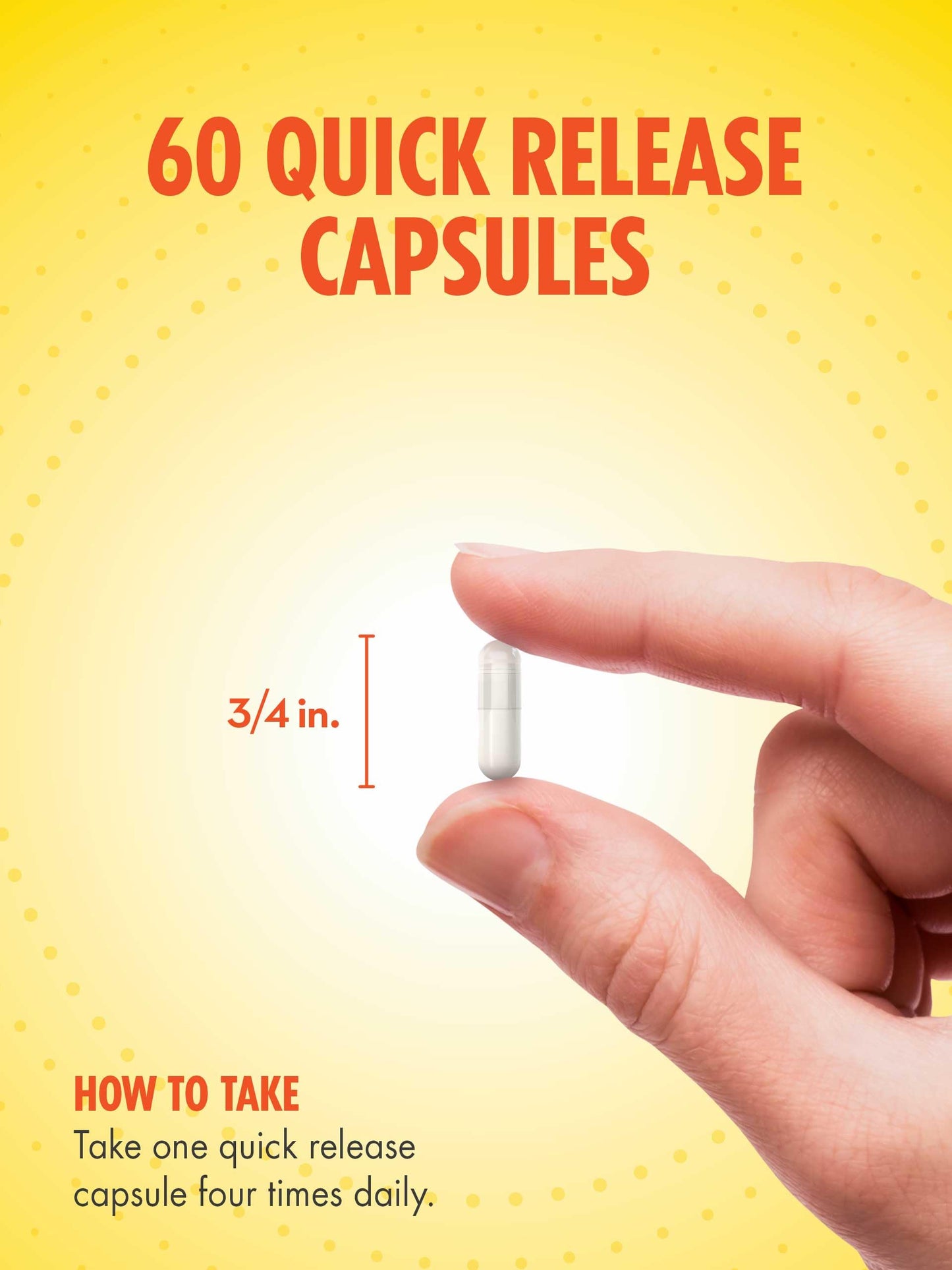 Sundance L-Carnitine L-Tartrate Supplement 500mg Capsules, 60 Count