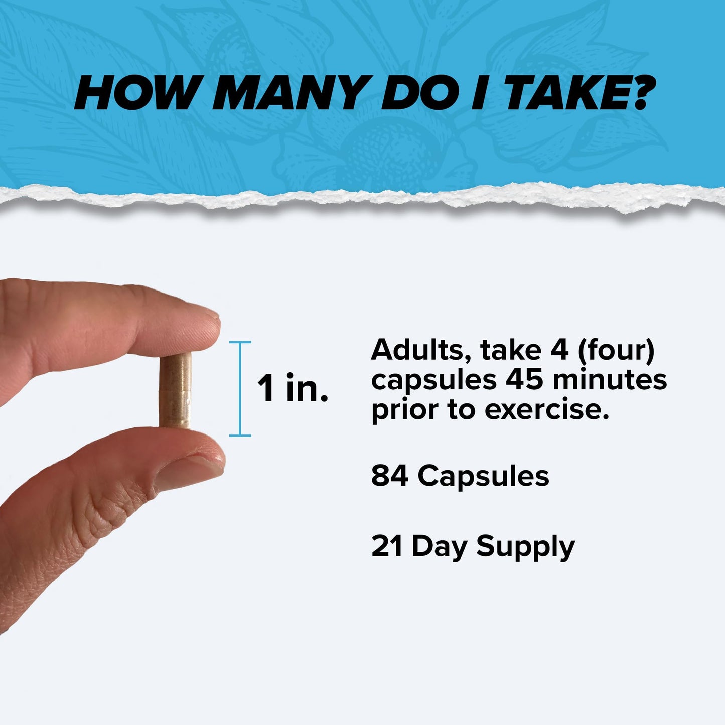 ONNIT Shroom Tech Sport Daily Exercise Support Capsules, Pre Workout Supplement with Cordyceps Mushrooms, Dietary Supplement for Daily Energy Support, 84 Count