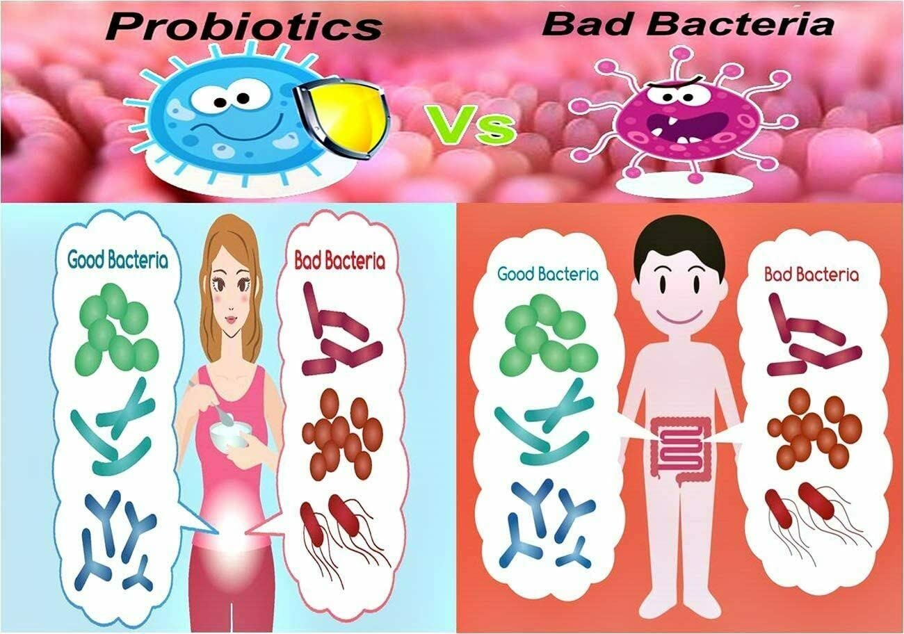 NOVA Probiotics Multi-Strain Ultra Strength Plus+ 100 Billion Probiotics per Capsule, 30 Capsules
