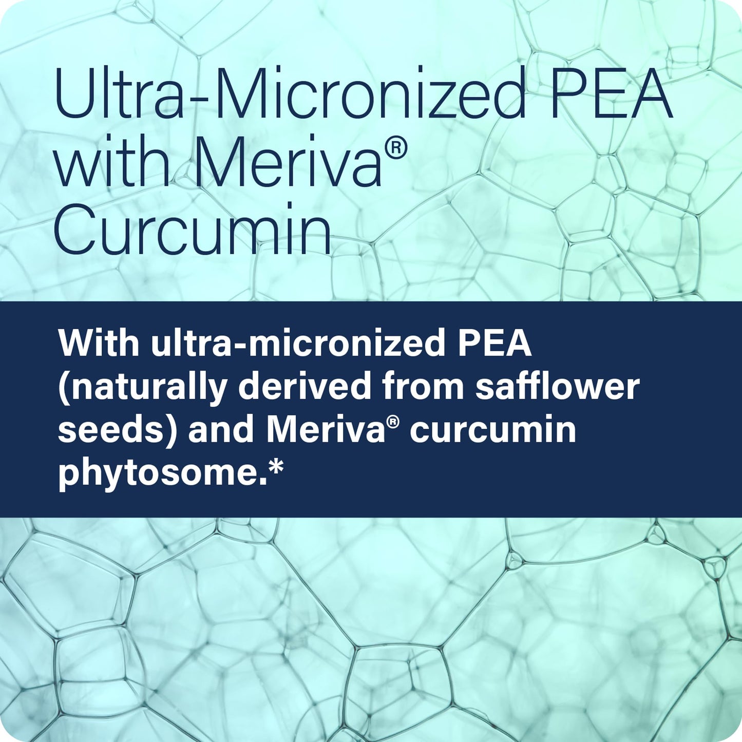 Enzyme Science Pea + Meriva® Curcumin Supplement 120 Capsules