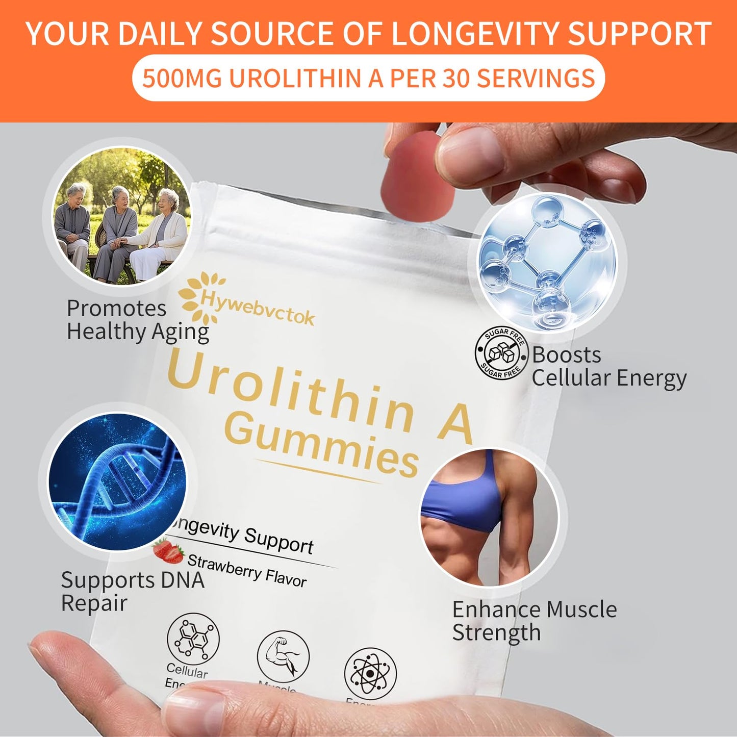 Hywebvctok Urolithin A Supplement Gummies, 60 Count