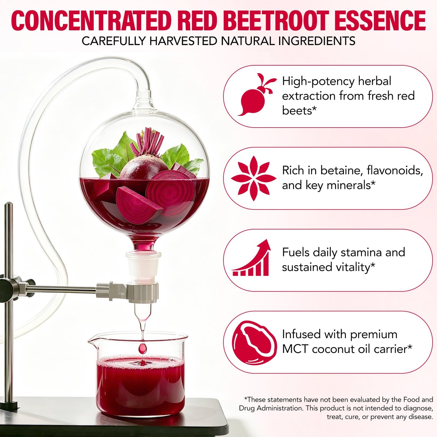 NVXNMSD Beet Root Extract Softgels 240