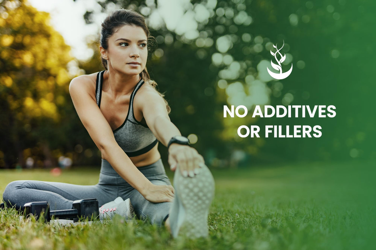 Pure Original Ingredients Kelp Extract Capsules, 365 Capsules