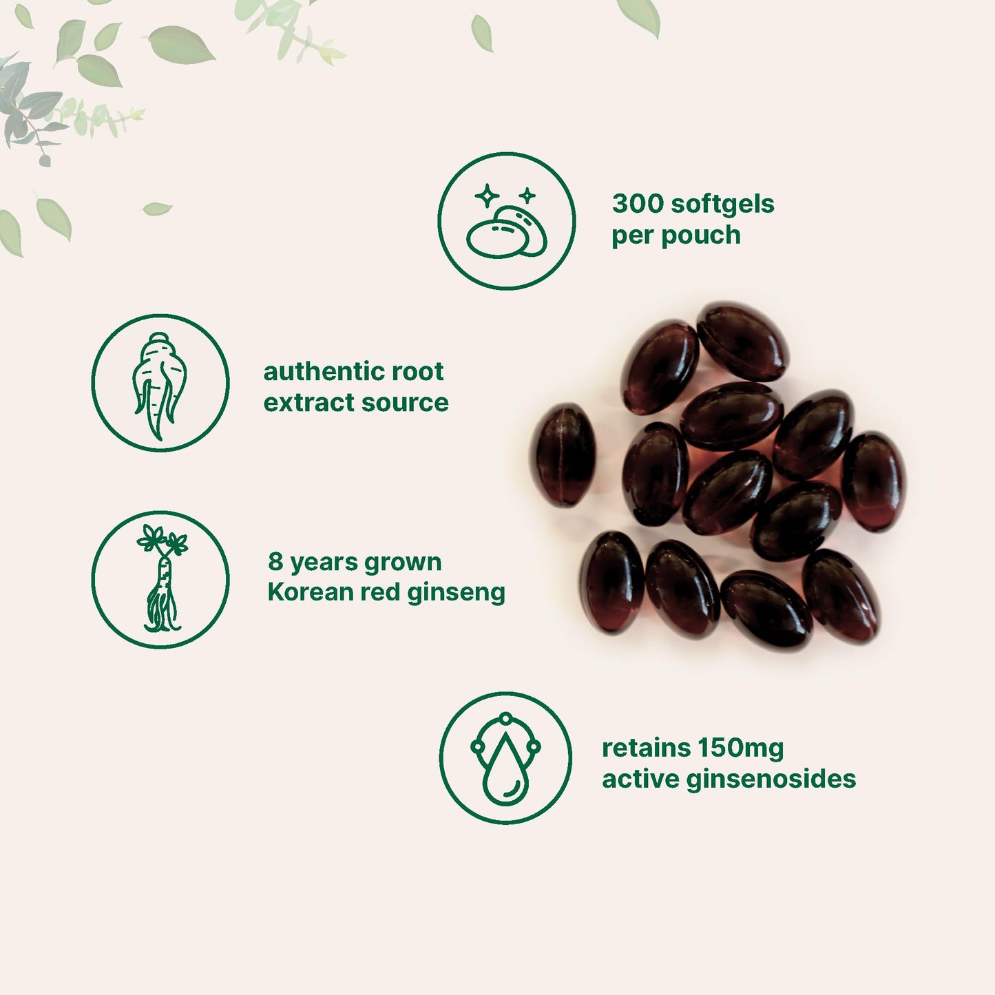 Micro Ingredients Red Panax Ginseng Supplement Capsule 300