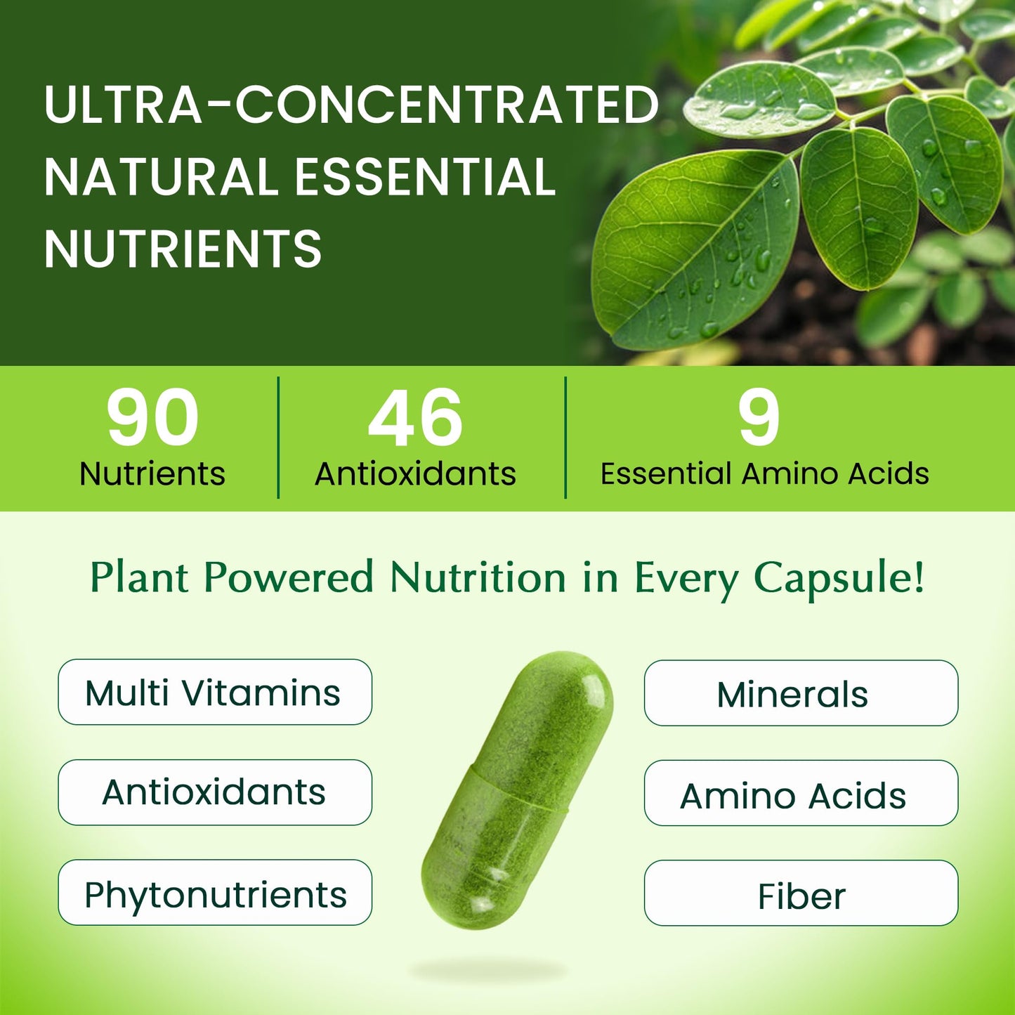 Organic Veda Moringa Capsule 1000mg, 120 Capsules