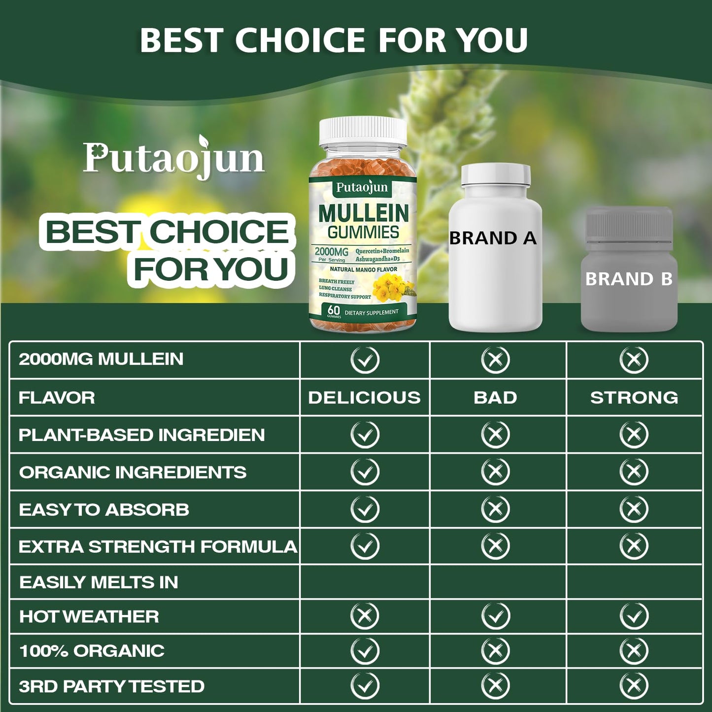 Putaojun Organic Mullein Gummies for Lungs, 2000mg Mullein Leaf Extract with Quercetin & Bromelain, Mango Flavor, Sugar-Free, Vegan, 60 Count