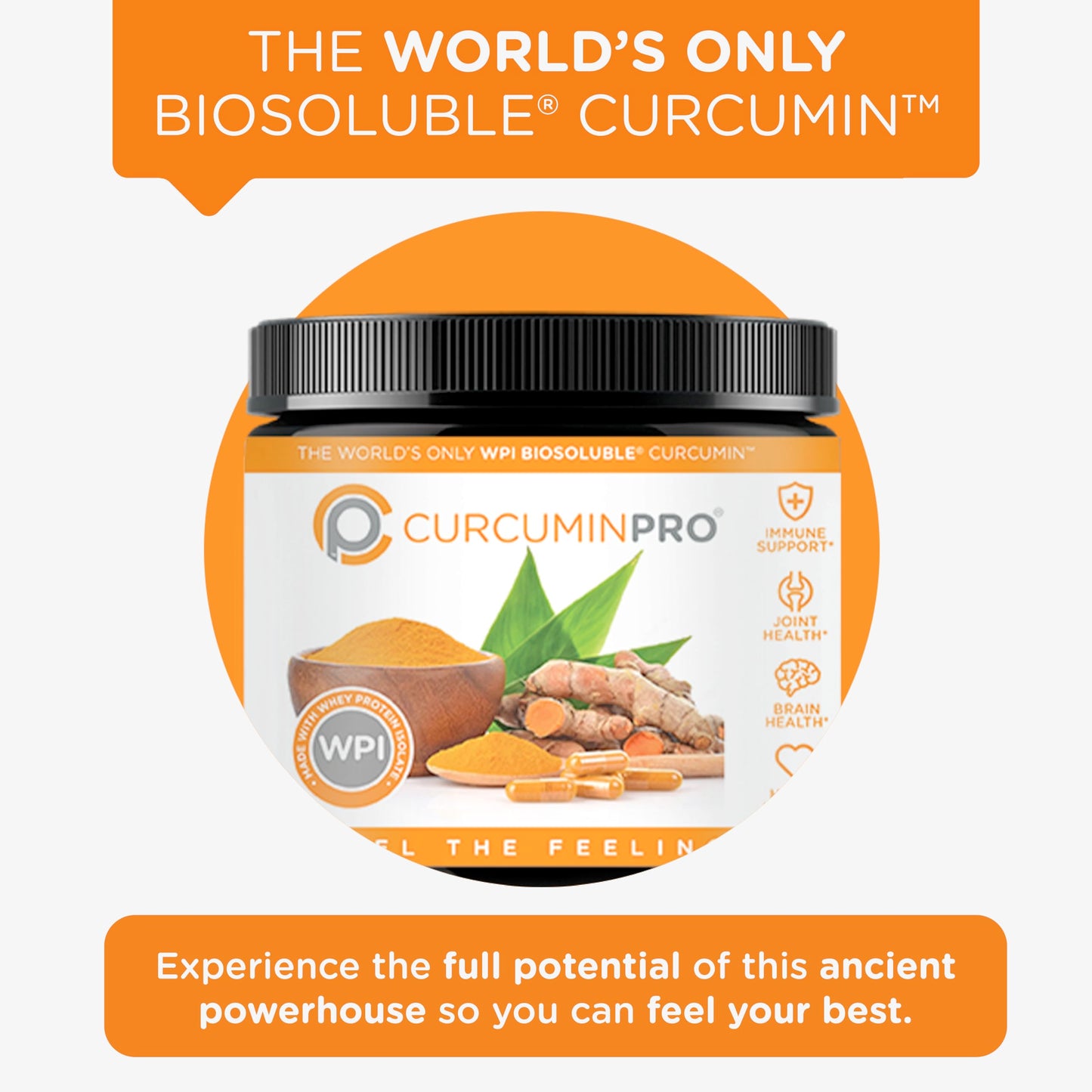 curcuminpro Complete Curcumin Bulk Powder 3.1747