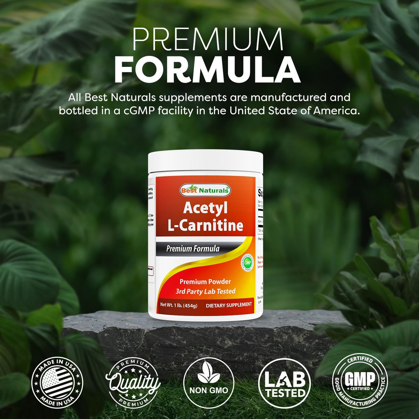 Best Naturals Acetyl L-Carnitine Premium Powder 16 Oz