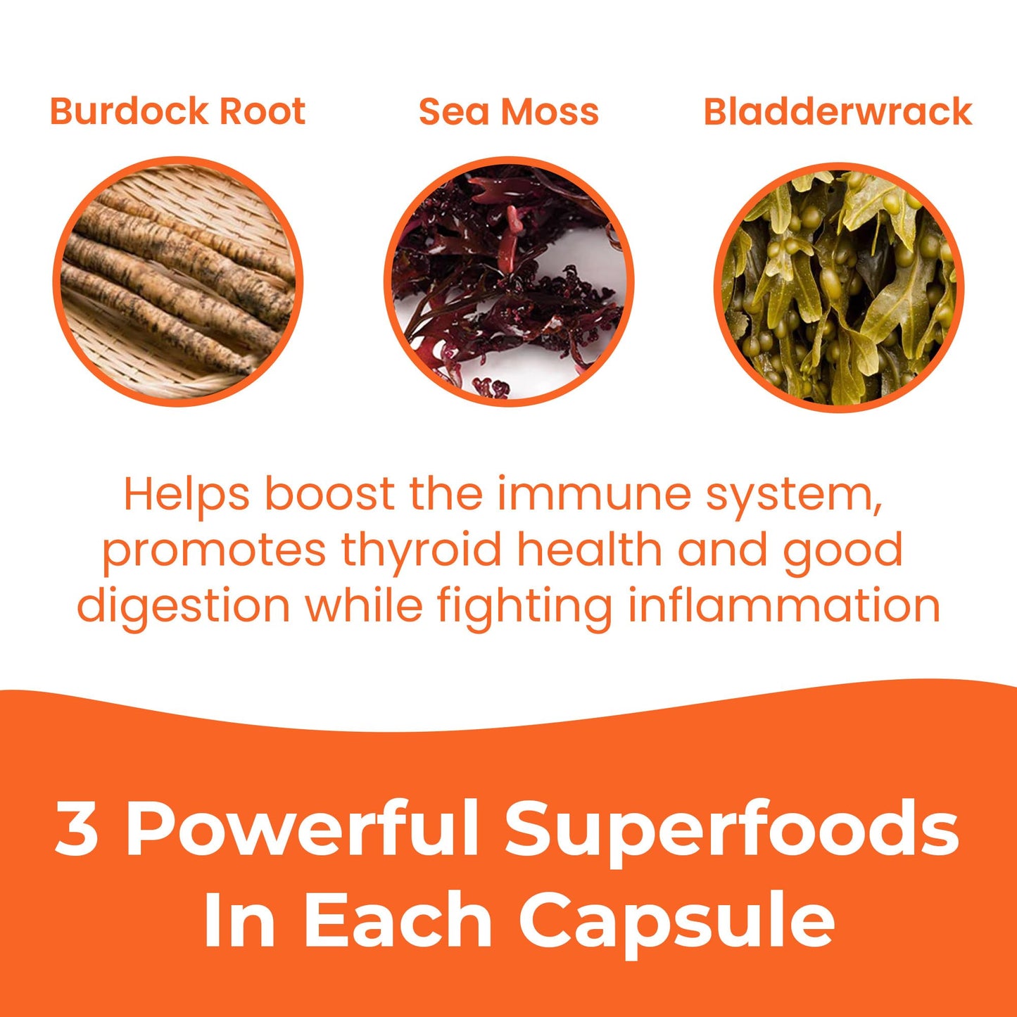 INFINITE AGE Sea Moss Advanced Superfood Capsules, 1250mg, 180 Capsules