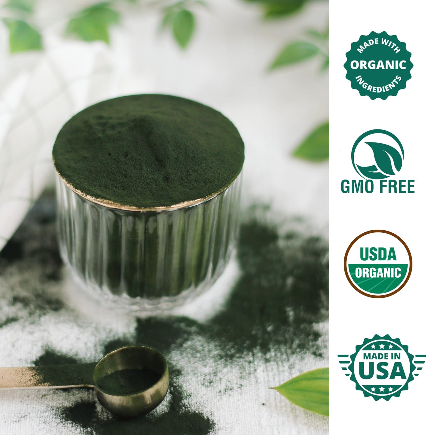 Wizelephant Chlorella Spirulina Powder Organic 3.52 oz