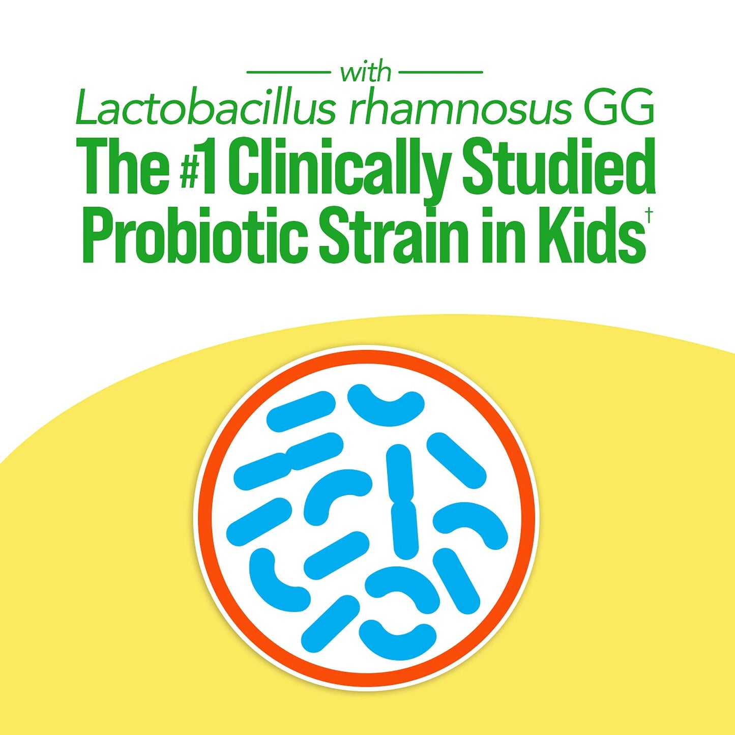 Culturelle Probiotics Ultimate Balance Probiotic for Antibiotics Chewable, 20 Count