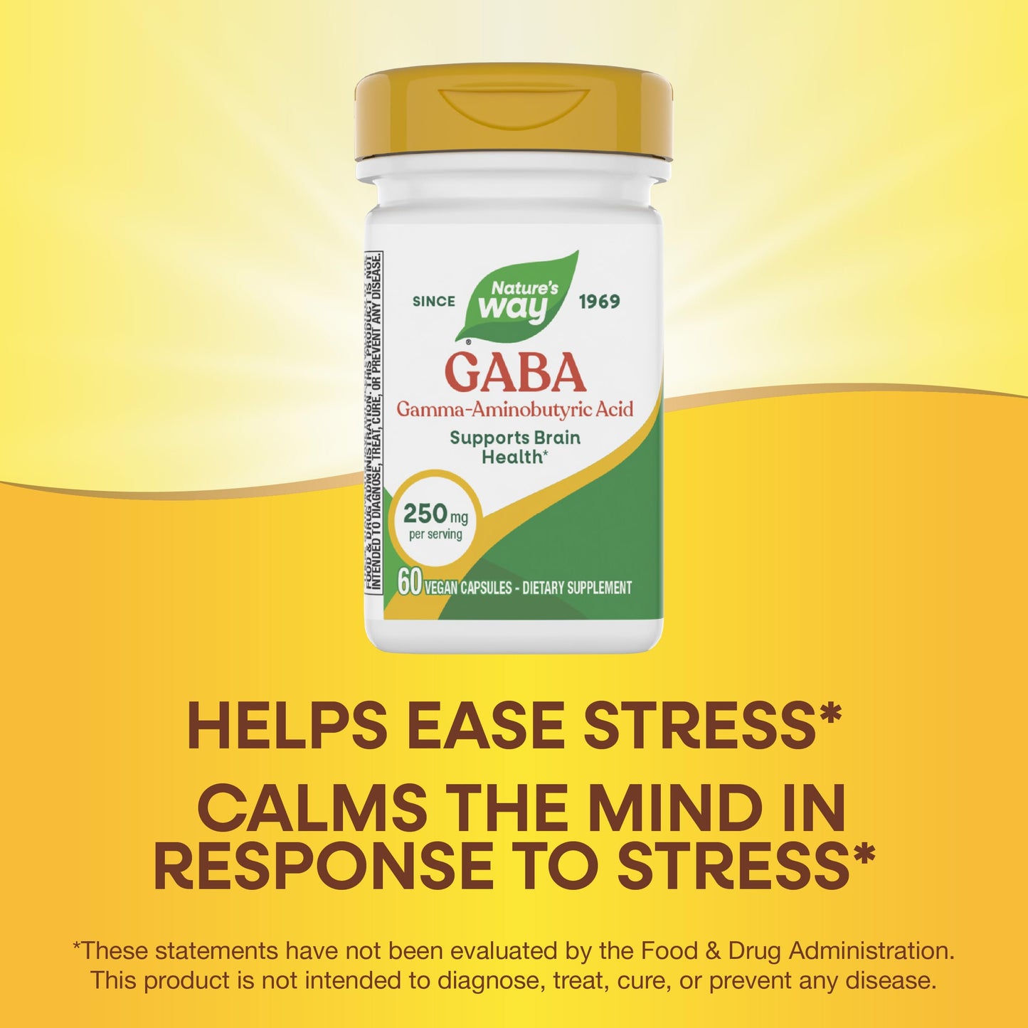 Nature's Way GABA, Gamma-Aminobutyric Acid, Supports Brain Health*, 250 mg per Serving, 60 Capsules