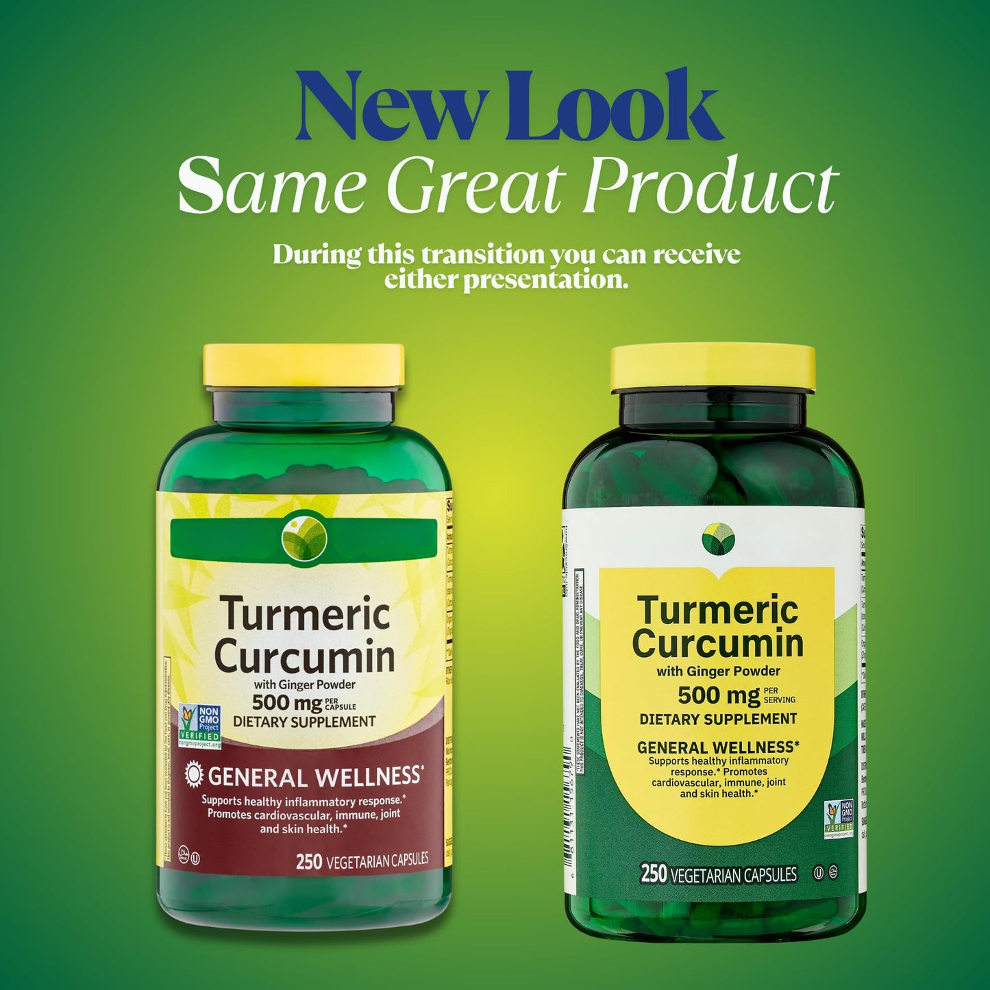 KP+ Turmeric Curcumin with Ginger Powder 500 mg Capsule, 250 Veg Capsules