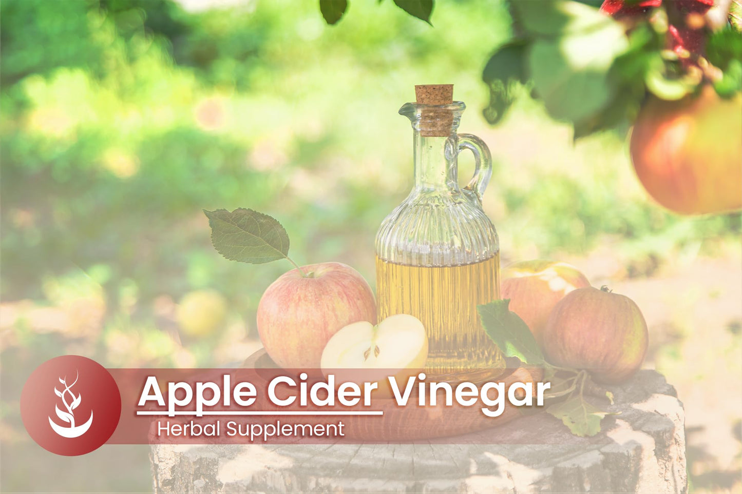 PURE ORIGINAL INGREDIENTS Apple Cider Vinegar Capsules 100