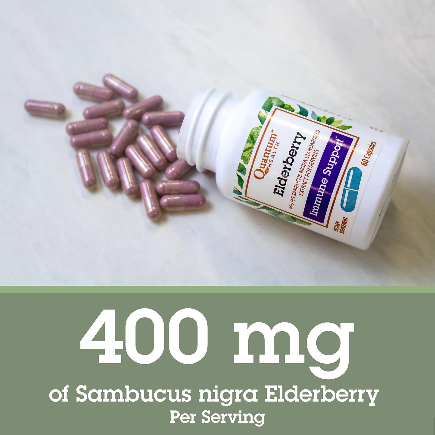 Quantum Elderberry 400mg Sambucus Nigra Immune Support Capsules, 60 Count