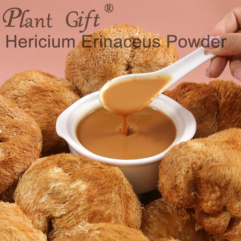 Plant Gift Hericium Erinaceus Powder, Lions Mane Mushroom Powder, 3.53 oz