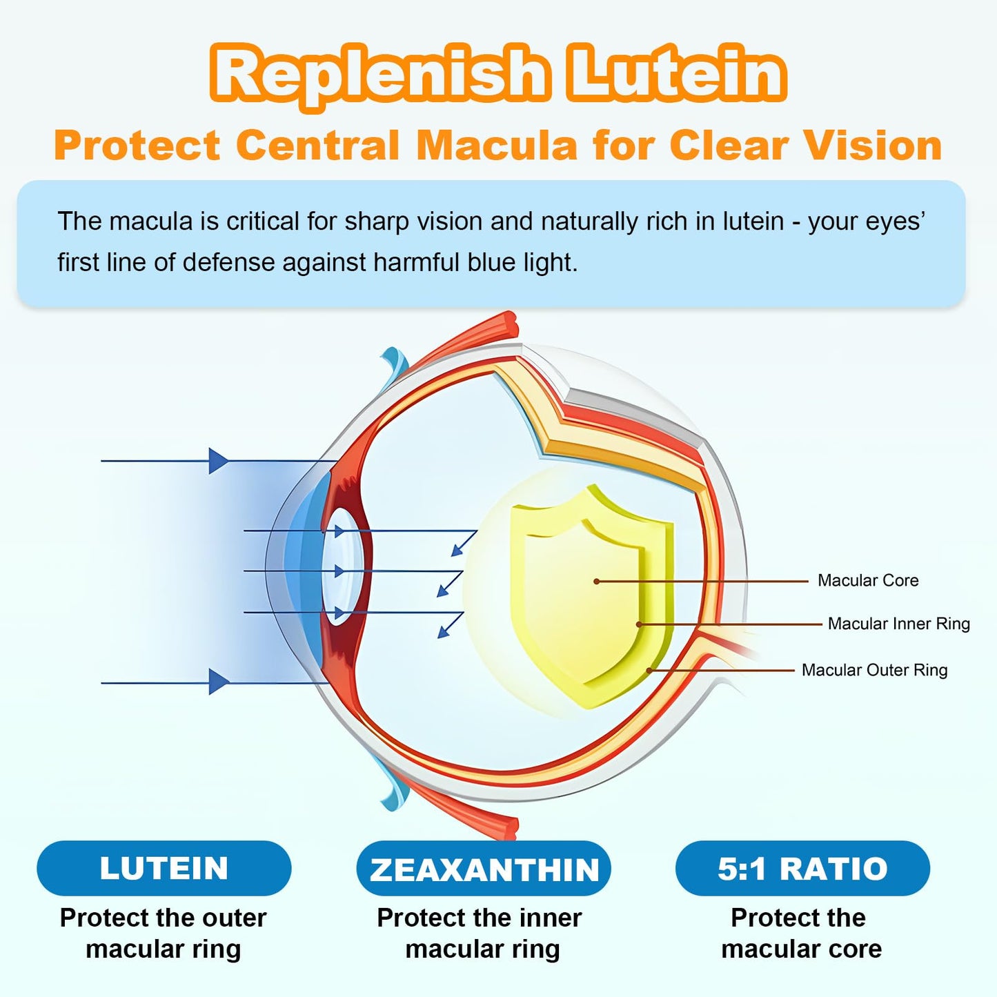 Flyrocer Lutein Gummies 25mg, Lutein and Zeaxanthin Eye Health Formula, Sugar Free, 120 Gummies