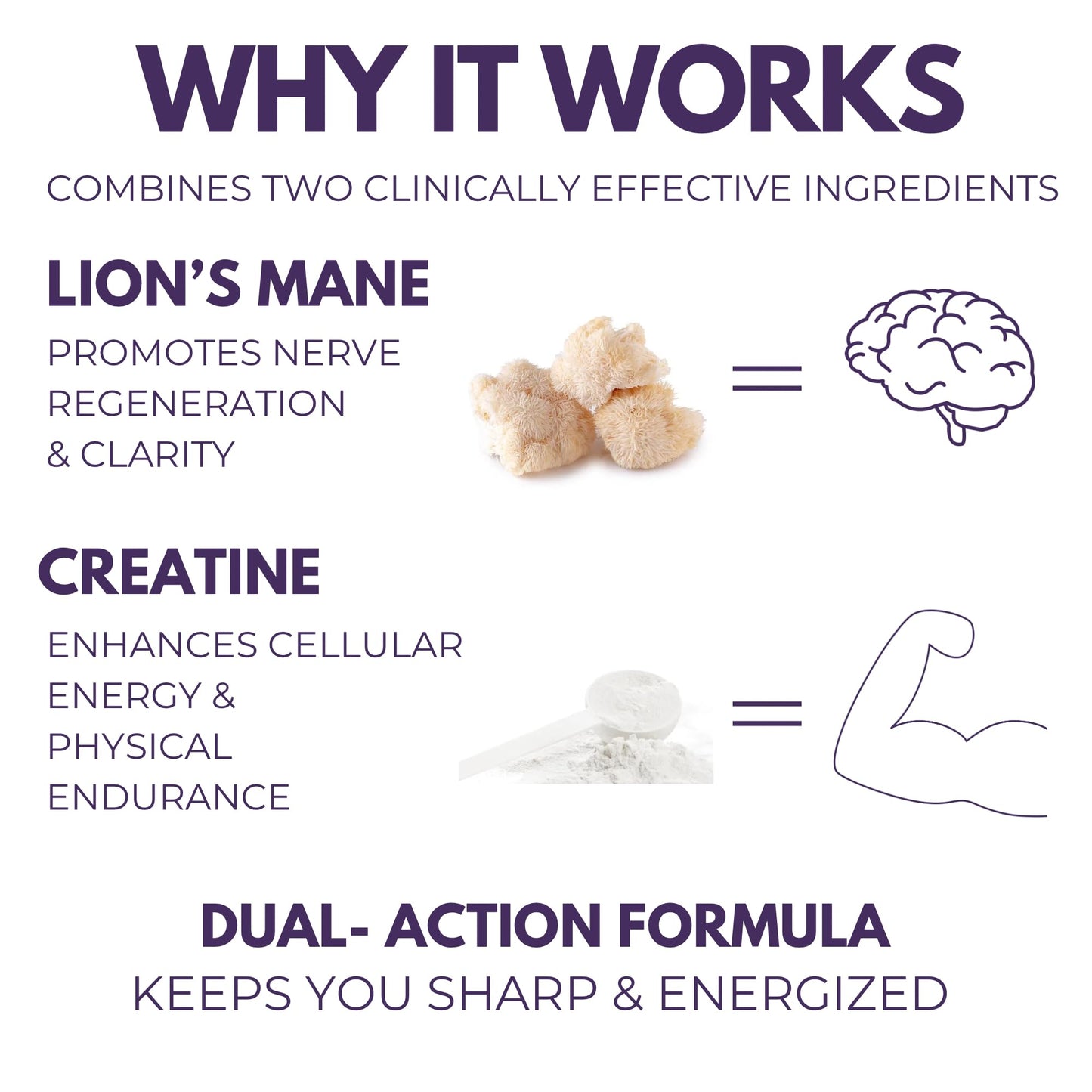The Mushroom Society Lion’s Mane Extra Supplement Capsules 60