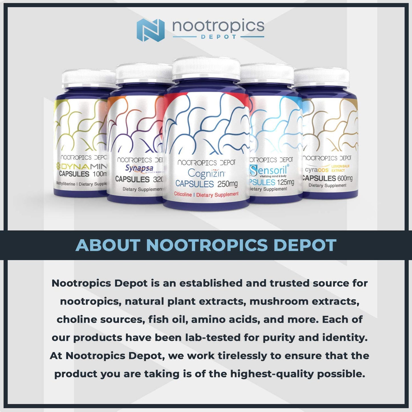 Nootropics Depot Epicatechin 90% Powder 25 Grams
