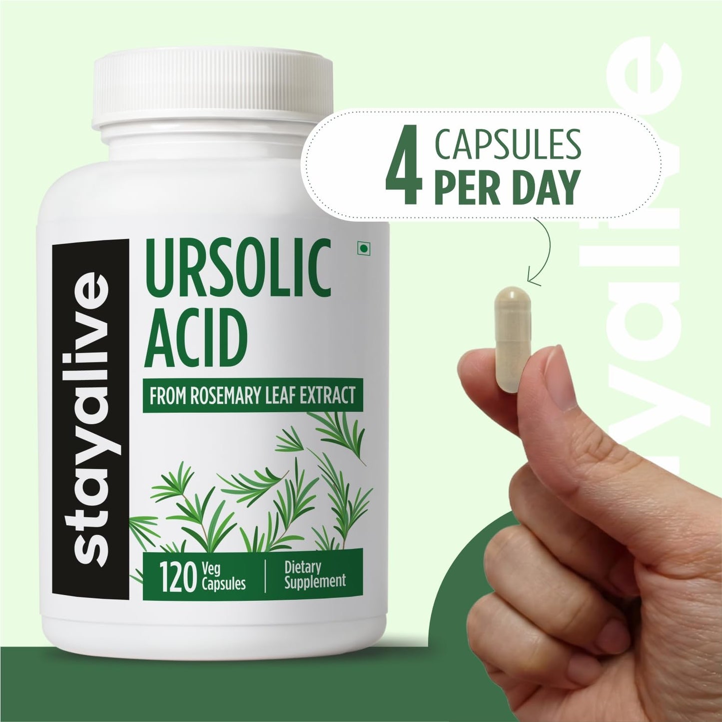 STAY ALIVE Ursolic Acid 300mg Capsules, 120 Count