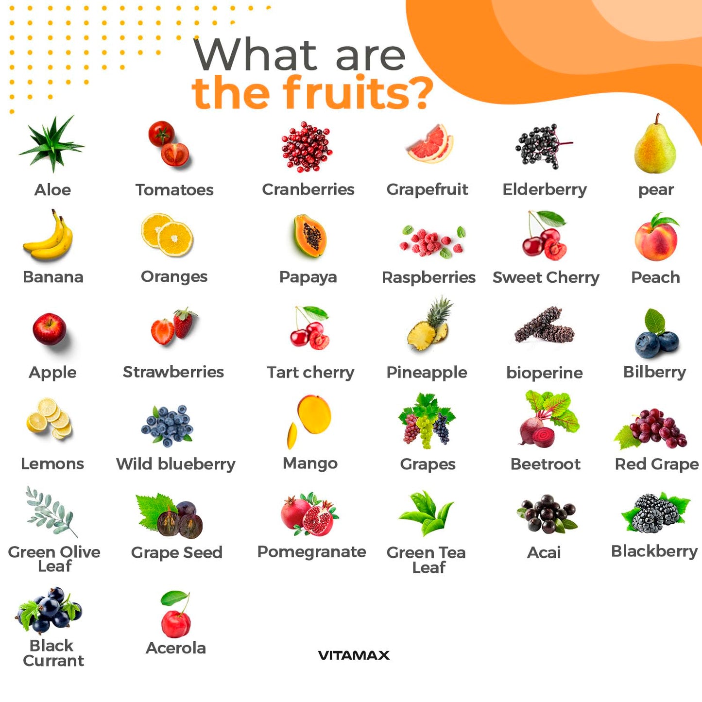 Vitamax Super Fruit and Vegetable Supplements – Whole Superfood Vitamins & Minerals – 180 Capsules