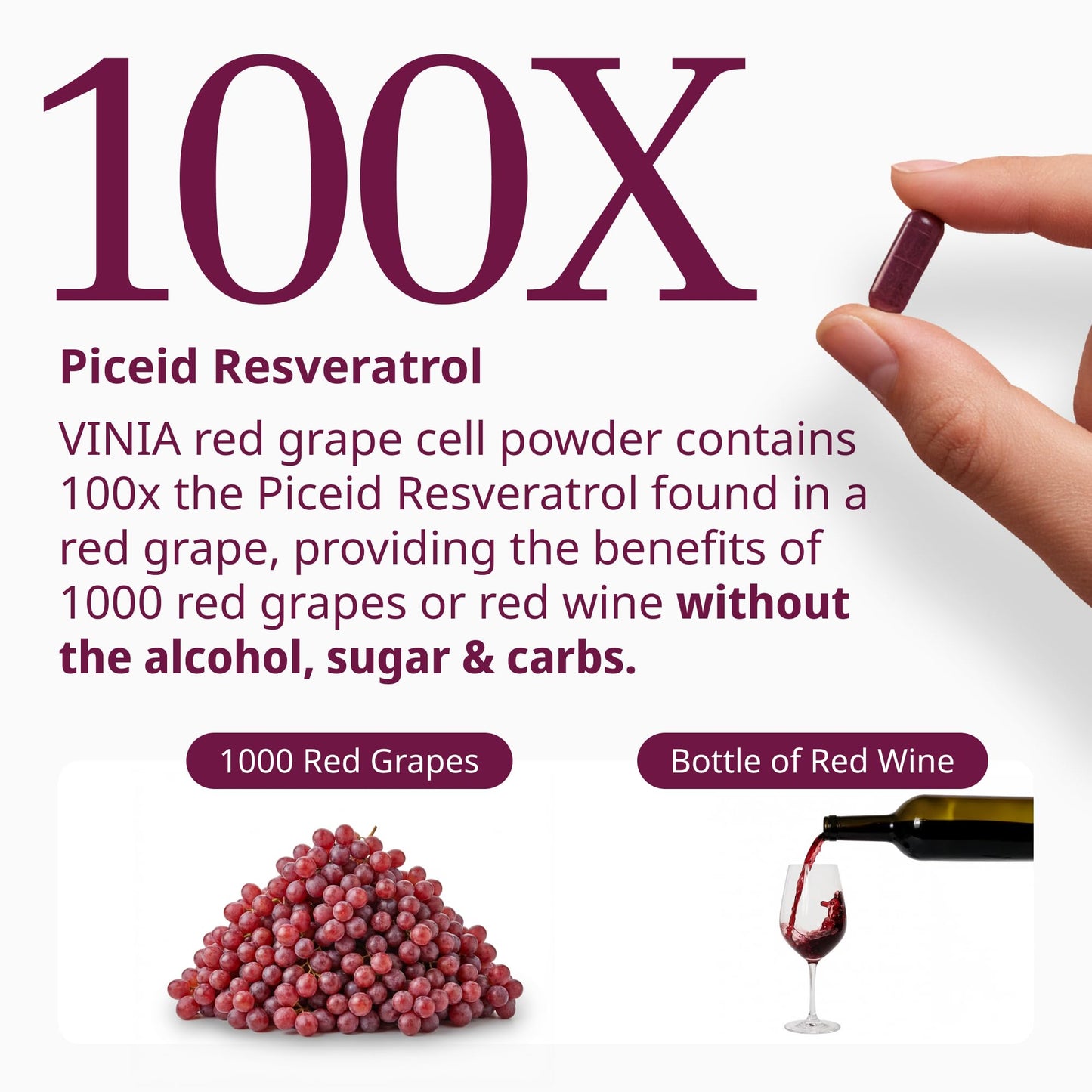 VINIA Piceid Resveratrol Supplement Capsules, 30 Count