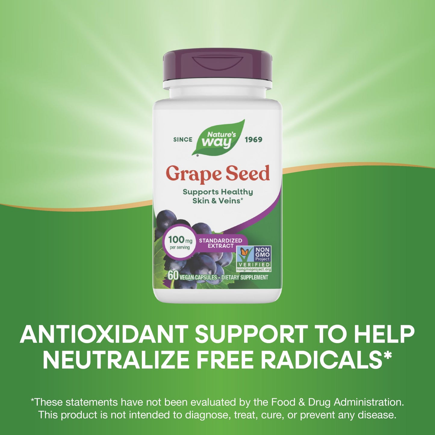 Nature's Way Grape Seed Standardized Extract Capsule 60 Count