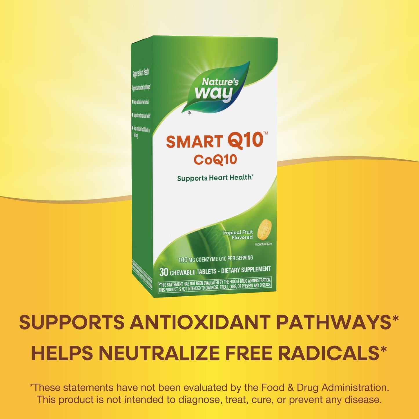 Nature's Way SMART Q10 CoQ10 Chewable 30 Count