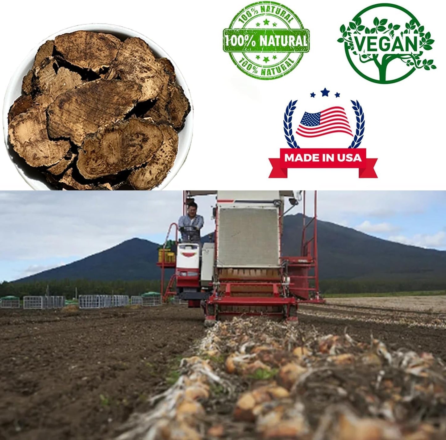 DABC OAK LAND Maca Root Slices Tablet 1 Box