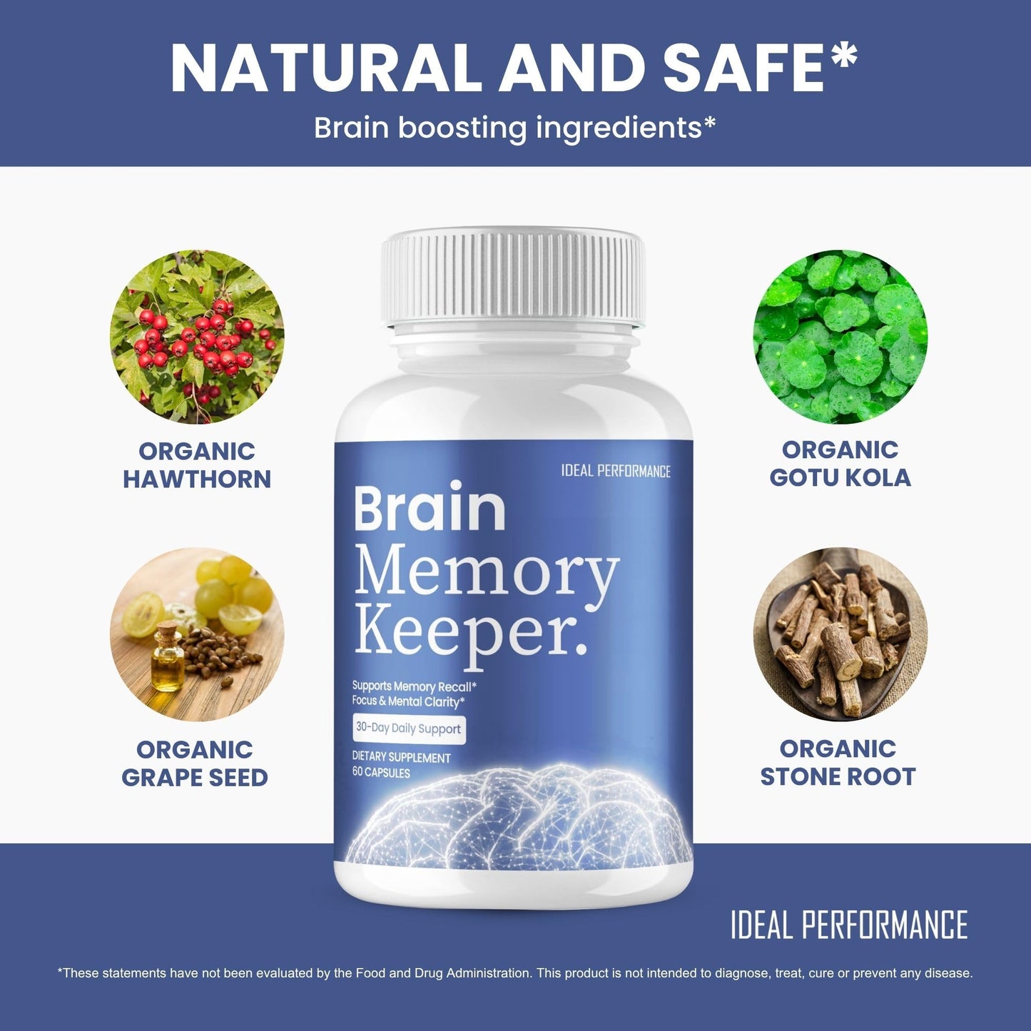 IDEAL PERFORMANCE Brain Memory Keeper Capsules 120 Count