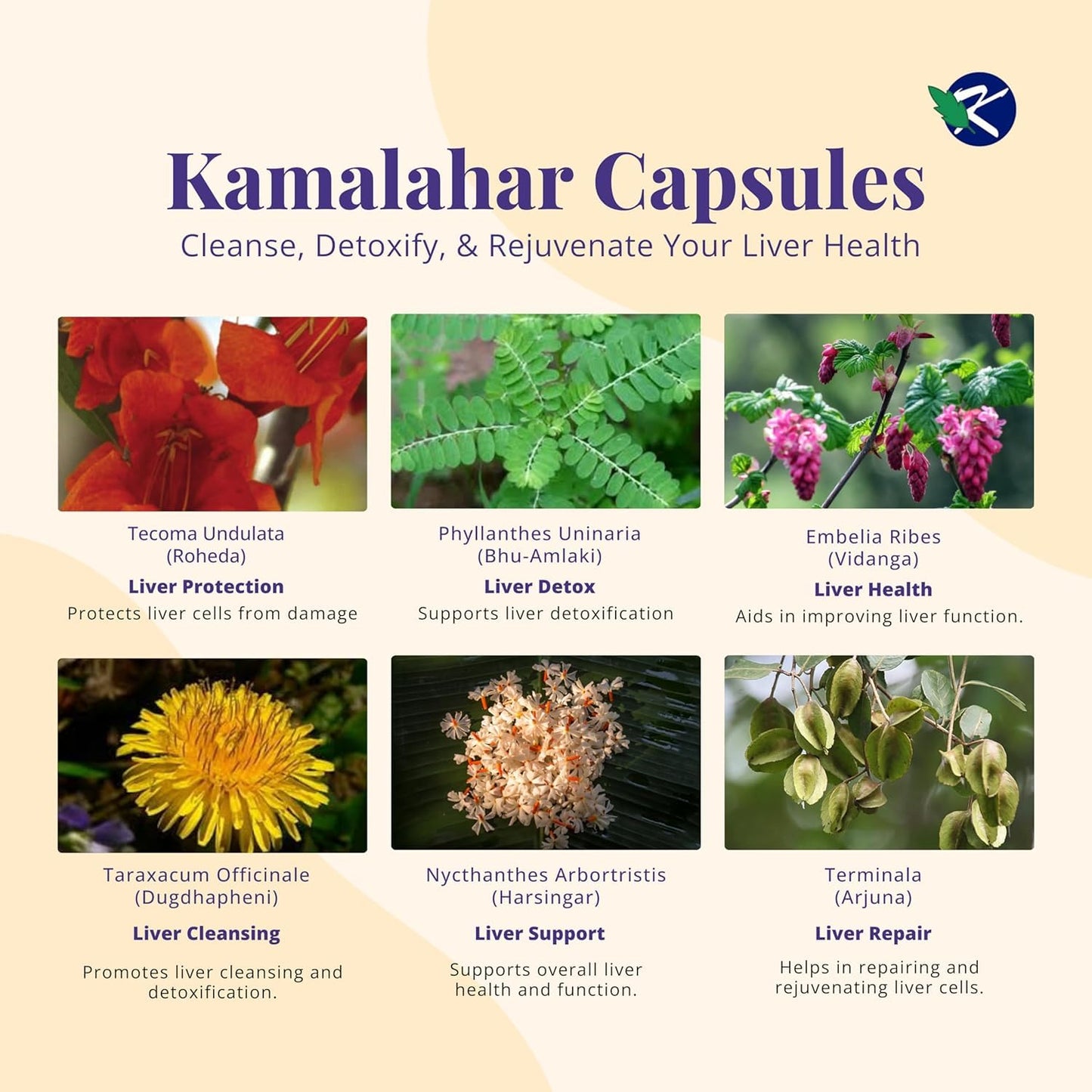 KAMALAHAR Liver Support Capsules 1200 Capsules (Pack of 12)