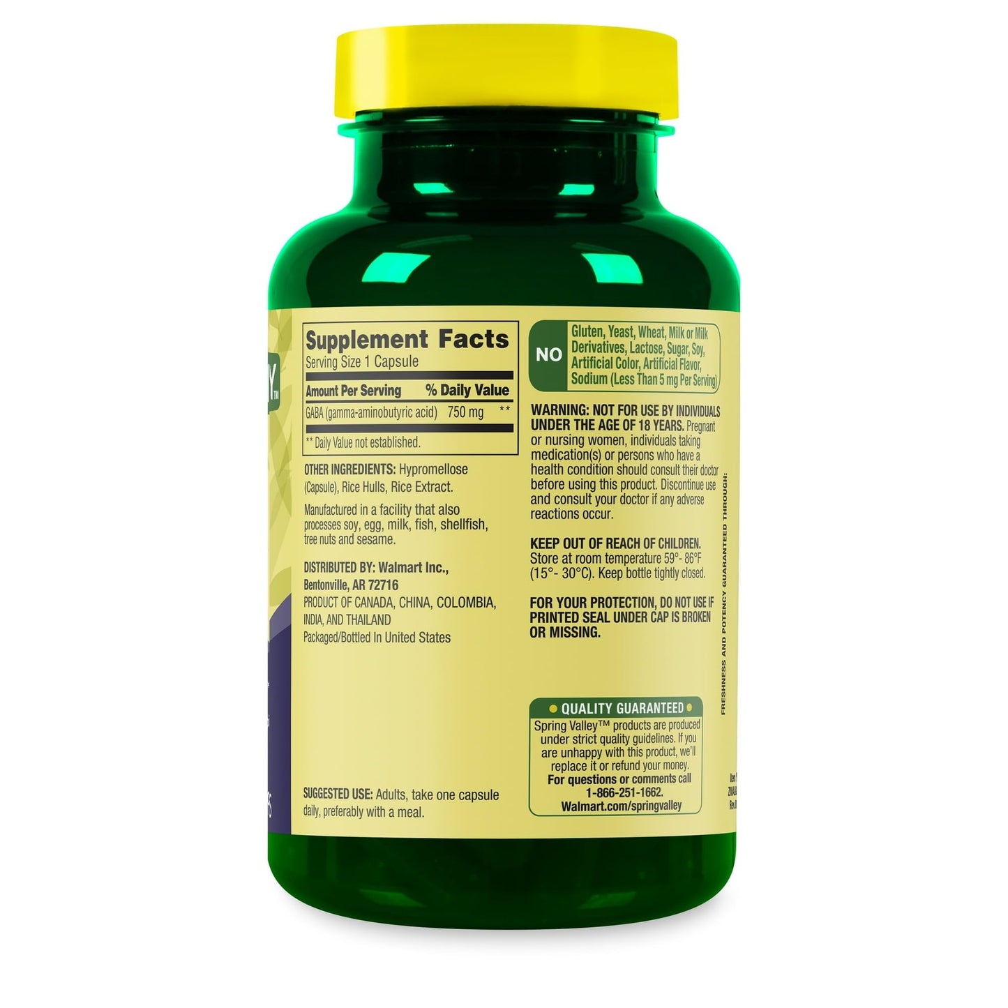 BASKETGOODS GABA Amino Acid Supplement Capsule, 750 mg, 100 Count