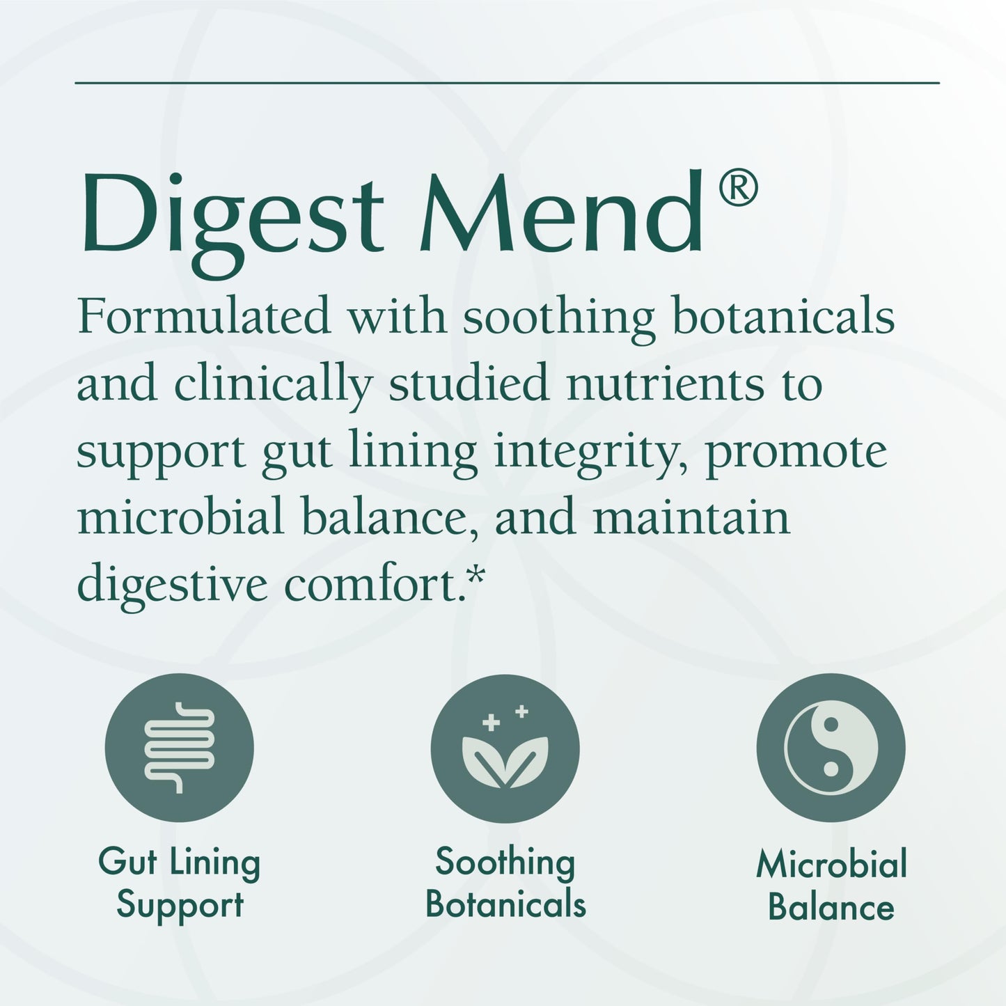 Natura Health Products Digest Mend DGL Licorice & Mastic Gum Capsules, 180 Count