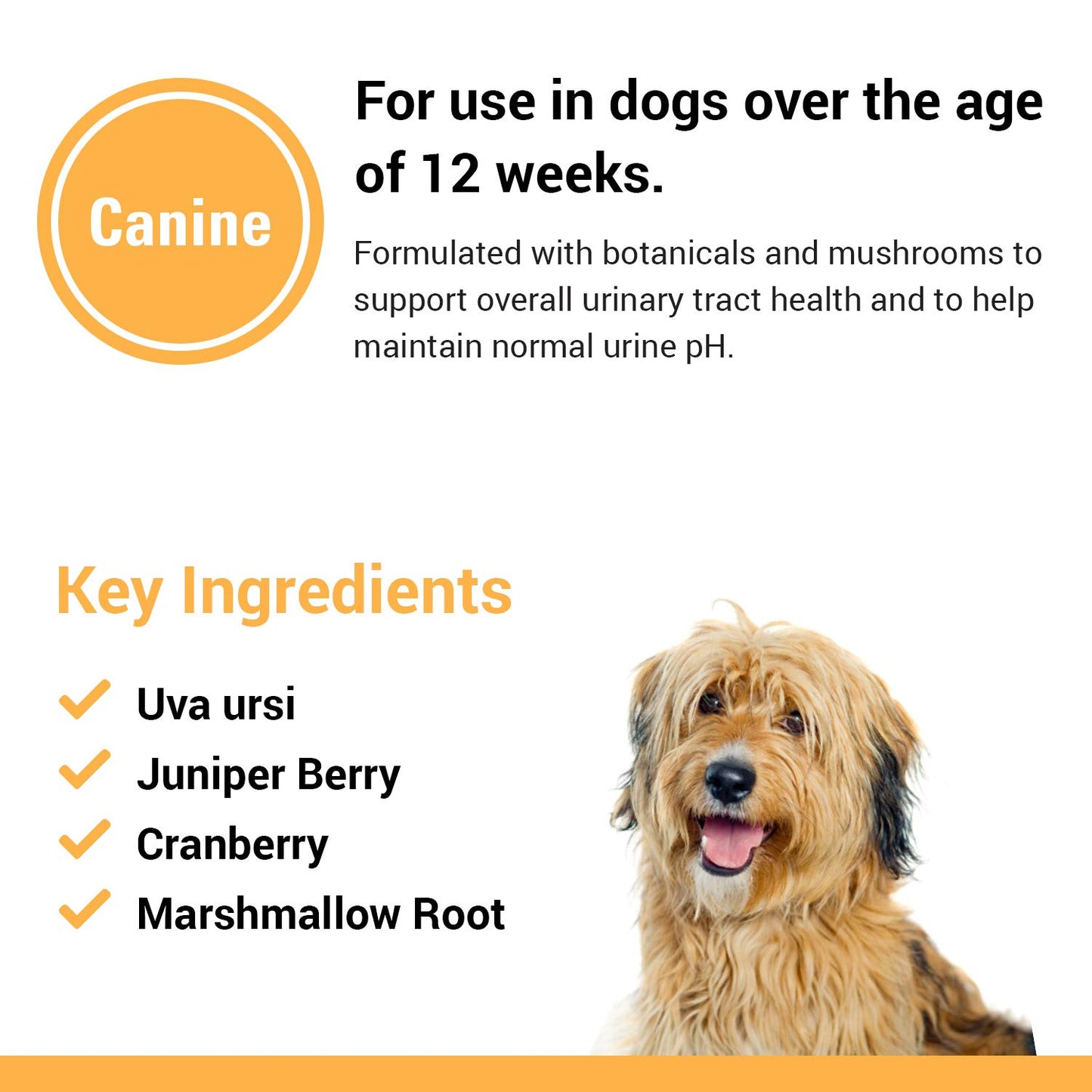 Vet Classics Urinary Tract Dog Supplement Powder 120