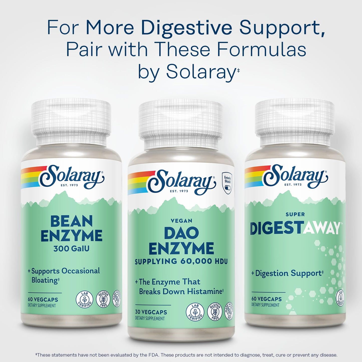 Solaray DAO Enzyme Capsule 30 VegCaps