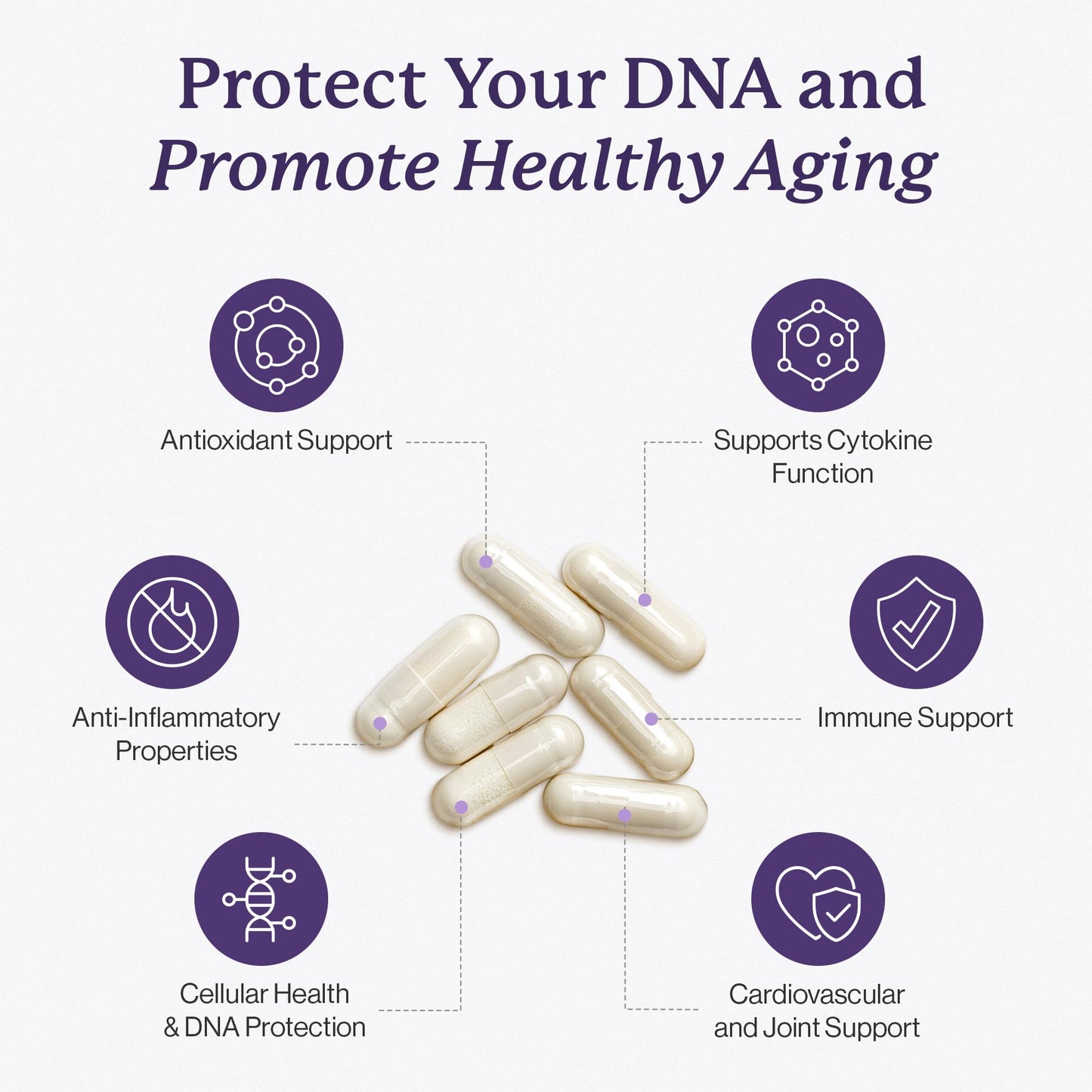 Dr. Fuhrman Ultra Cell Biotect Capsule, 1 Capsule