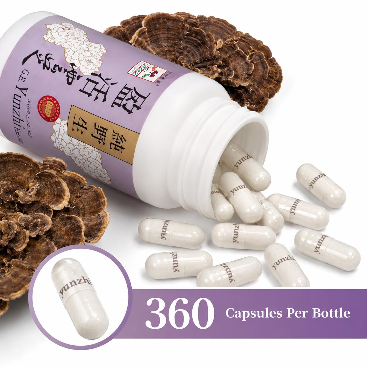 Vita Green Turkey Tail Mushroom - Yunzhi Immune Support 360 Capsules
