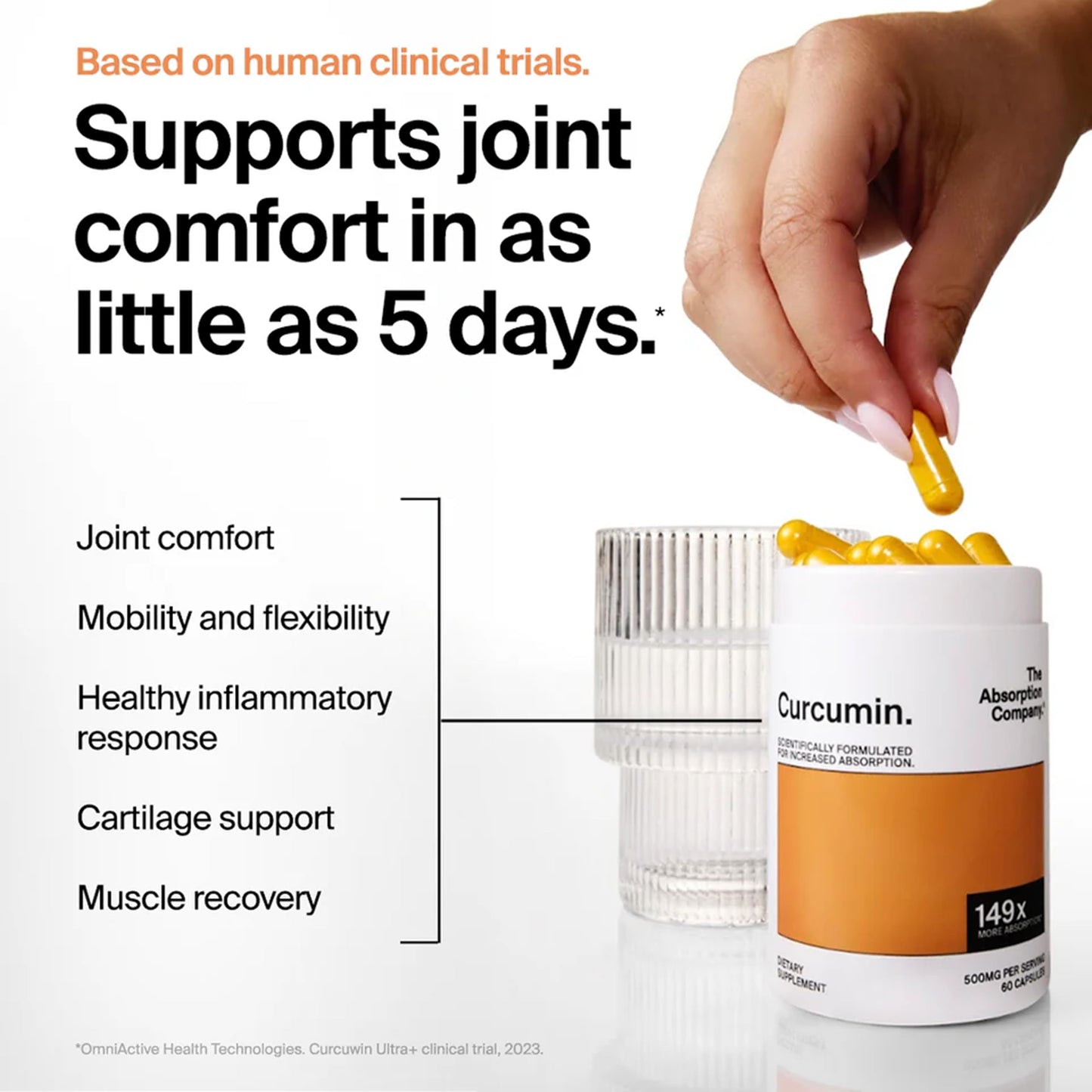 The Absorption Company Curcumin - Turmeric Supplement Capsule 60 Count