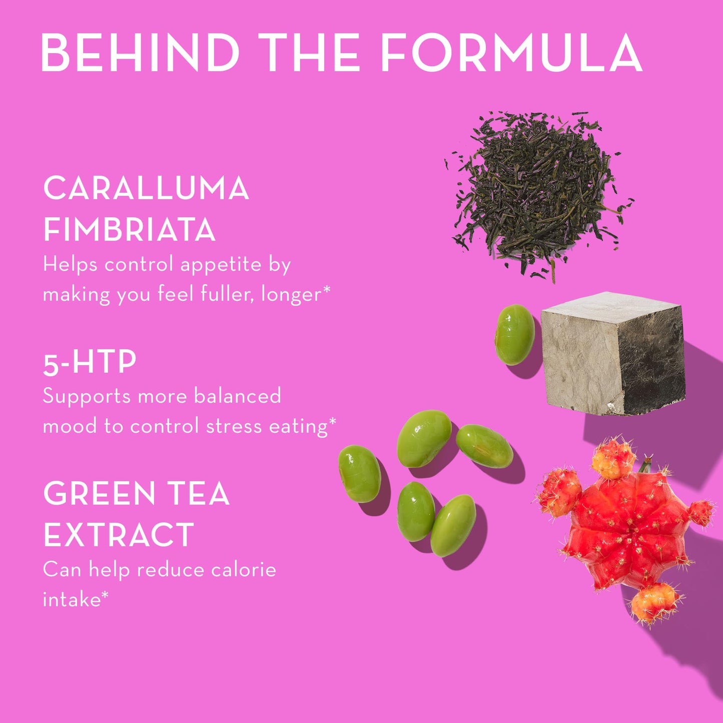 HUM Skinny Bird Green Tea Extract Appetite Support for Women with 5HTP, Chromium, Caralluma Fimbriata, Gluten Free and Vegan, Green Tea Extract Capsules, 90 Count