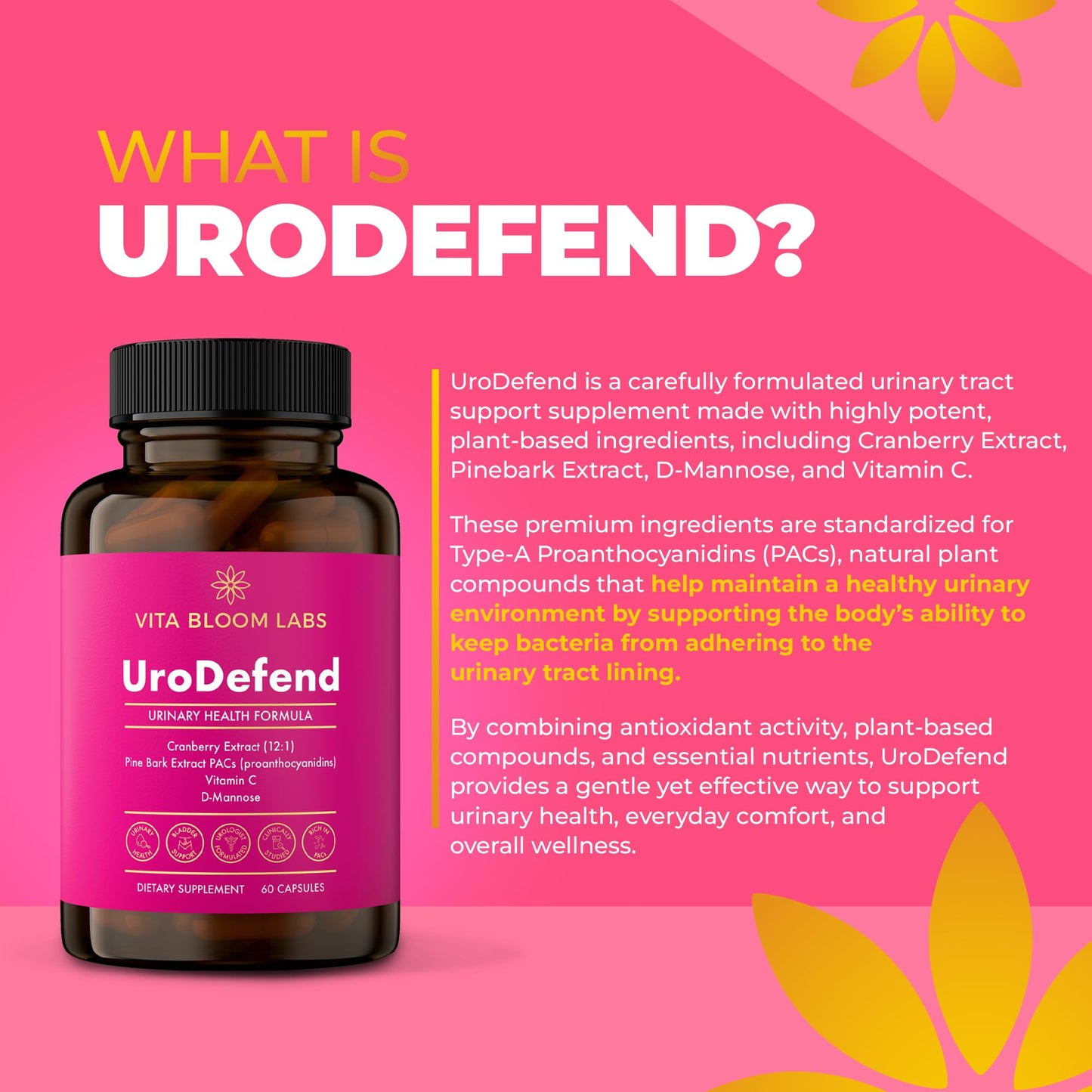 Vita Bloom Labs UroDefend UTI Protection Formula 60 Capsules
