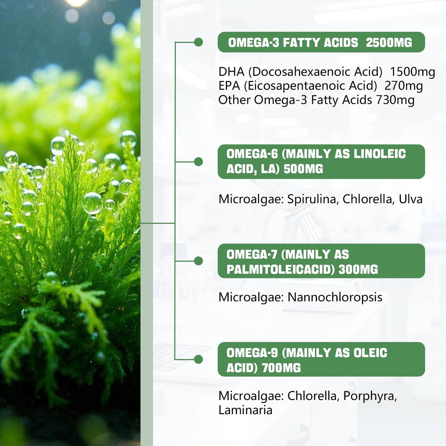 LotinYntu Algae Omega 3 Gummies 4000mg - Fish Oil Gummies Alternative from Algae Oil, DHA 1500MG & EPA 270MG, Vitamin C, E, Turmeric, Black Pepper & Selenium, Supports Heart, Brain & Immune Wellness, 60 Gummies