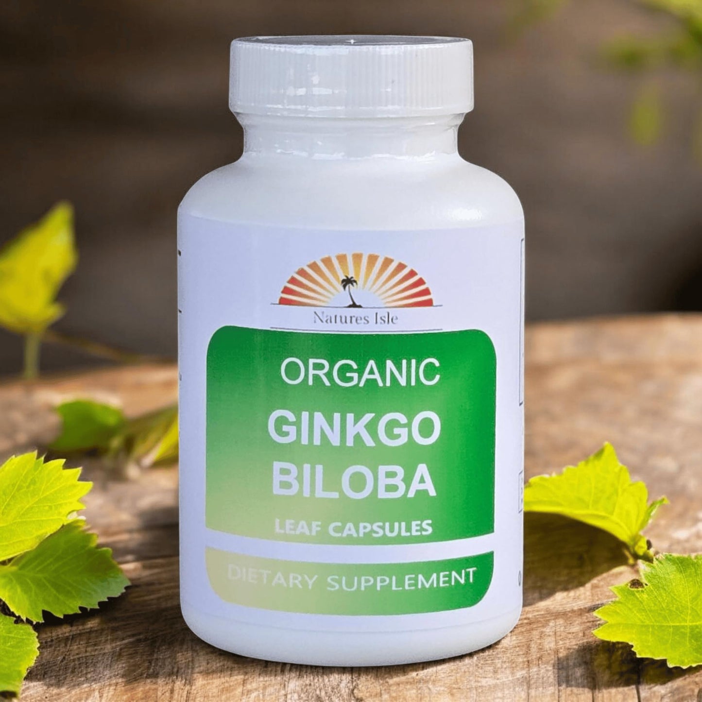 Generic Organic Ginkgo Biloba Leaf 500mg Capsules, 480 Count