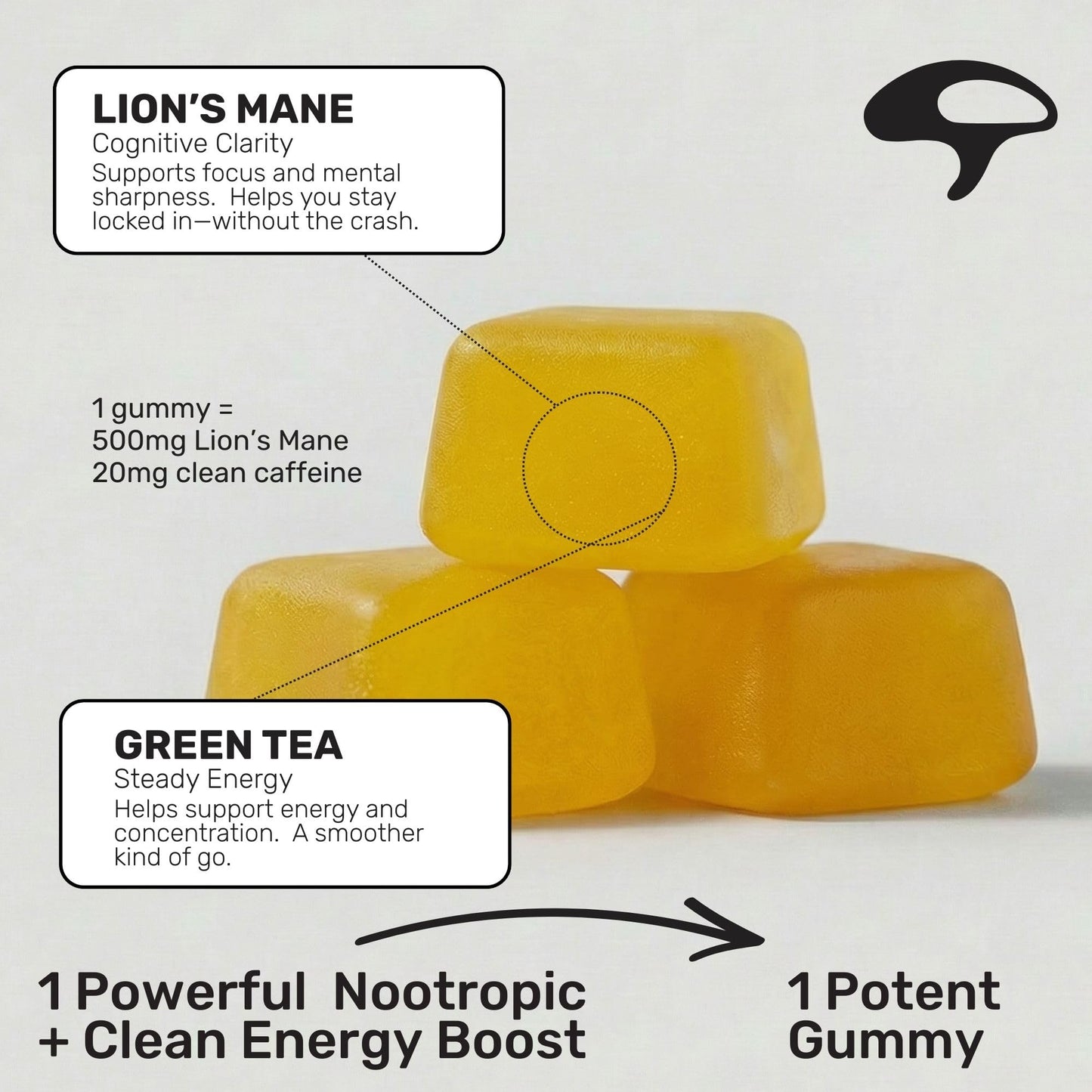 Stay Wyld Organics Focused Energy+ Mushroom Gummies with Lion's Mane & Green Tea, 20 Gummies