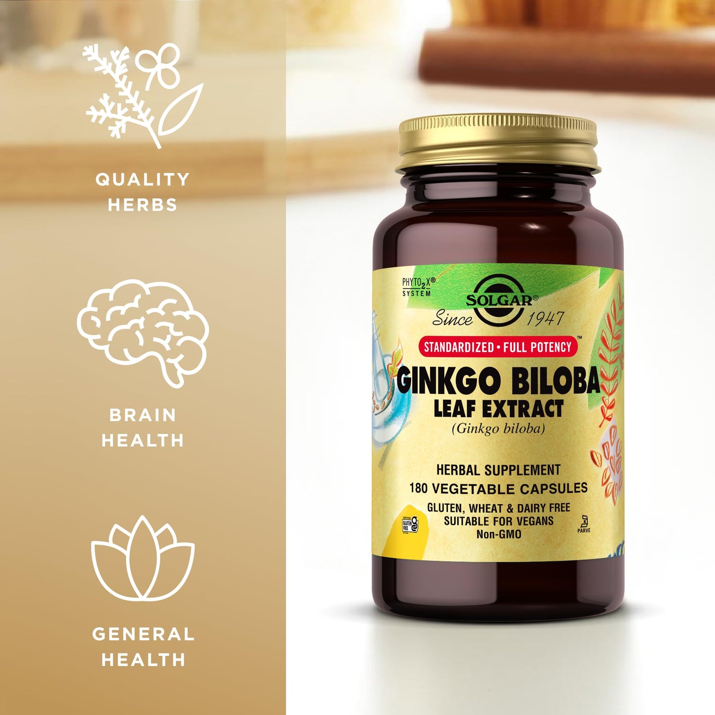Solgar Ginkgo Biloba Leaf Extract 180 Capsules