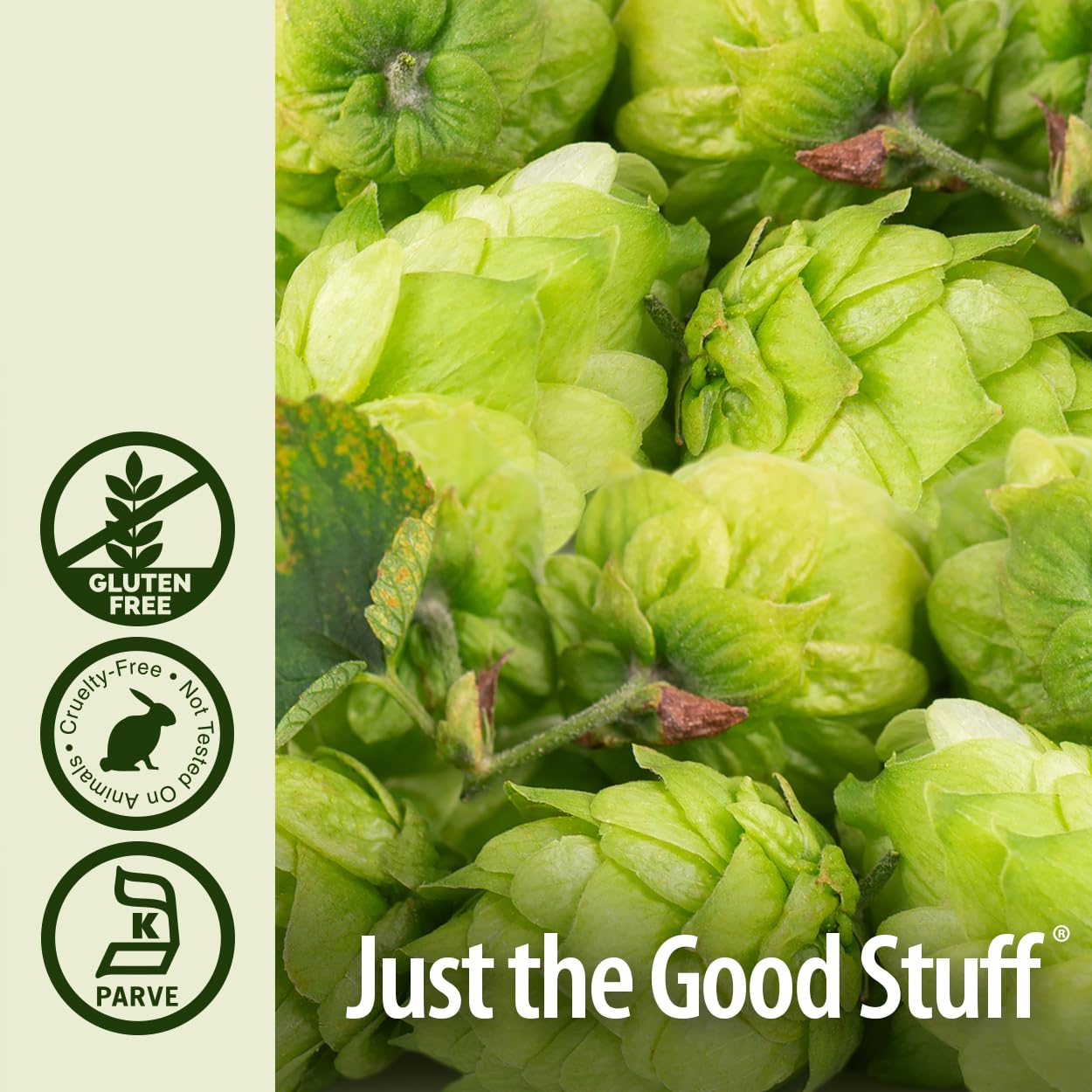 Nature's Answer Hops with Organic Alcohol Liquid, 1 Fl Oz (Pack of 1)